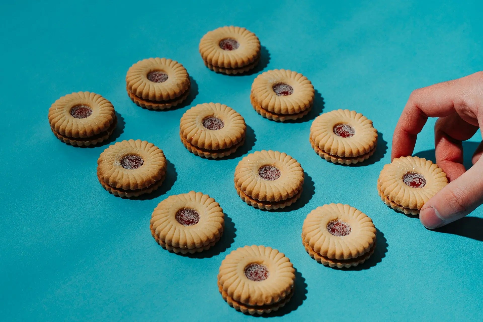 Can You Store Biscuits In The Fridge? | Fridge.com