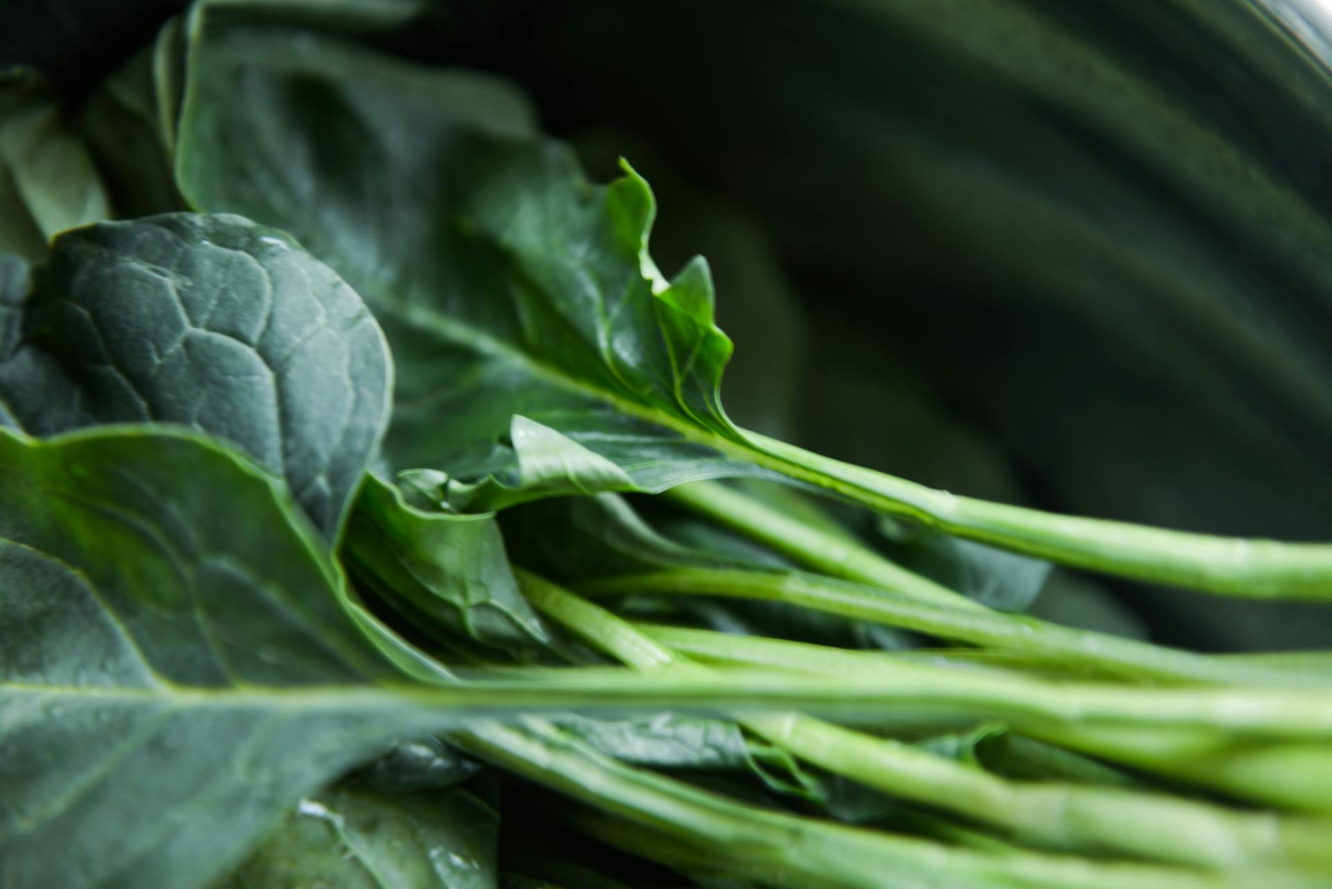 Collard Greens Storage Tips For The Fridge