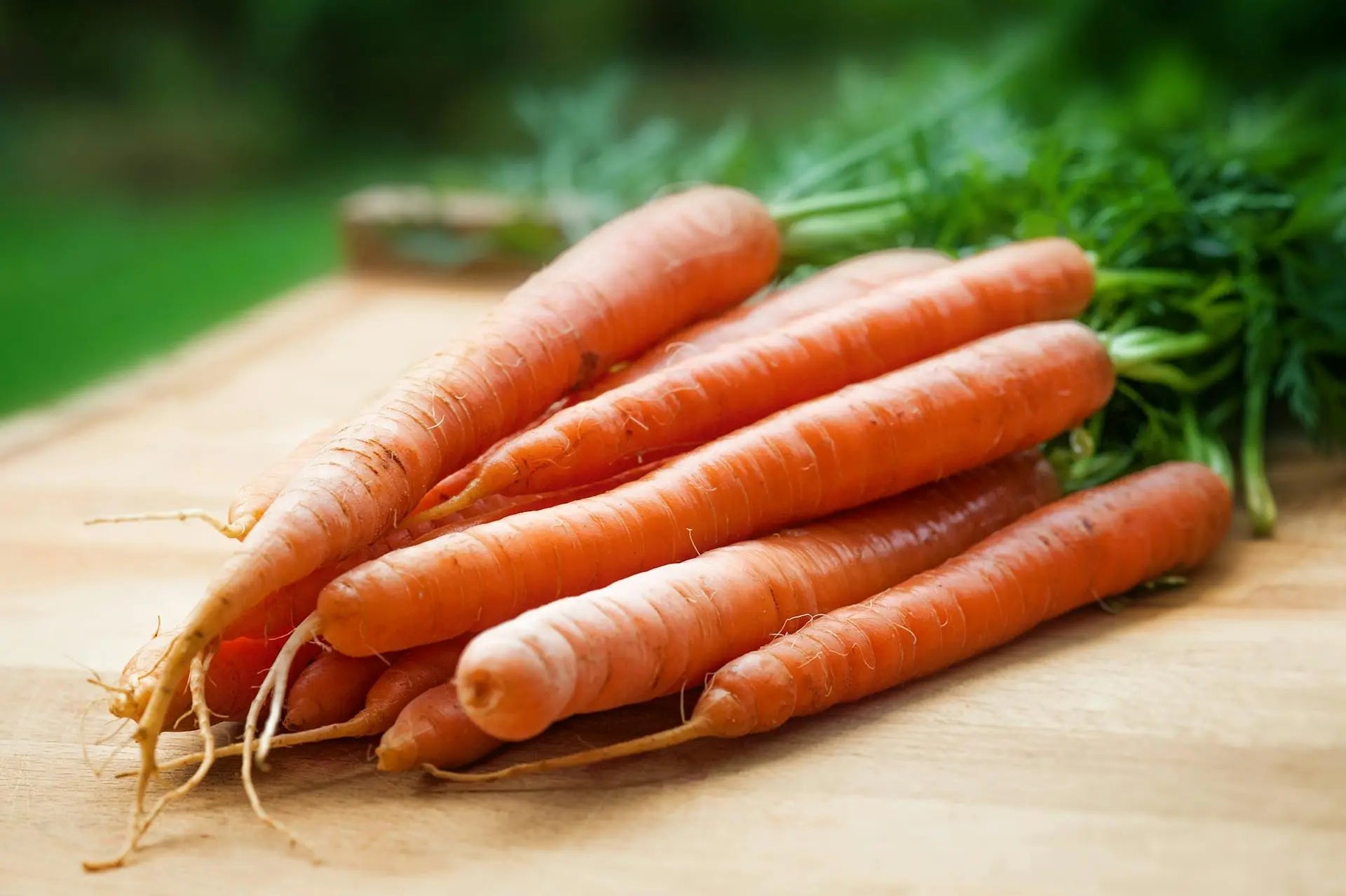 Do-Carrots-Need-To-Be-Refrigerated | Fridge.com