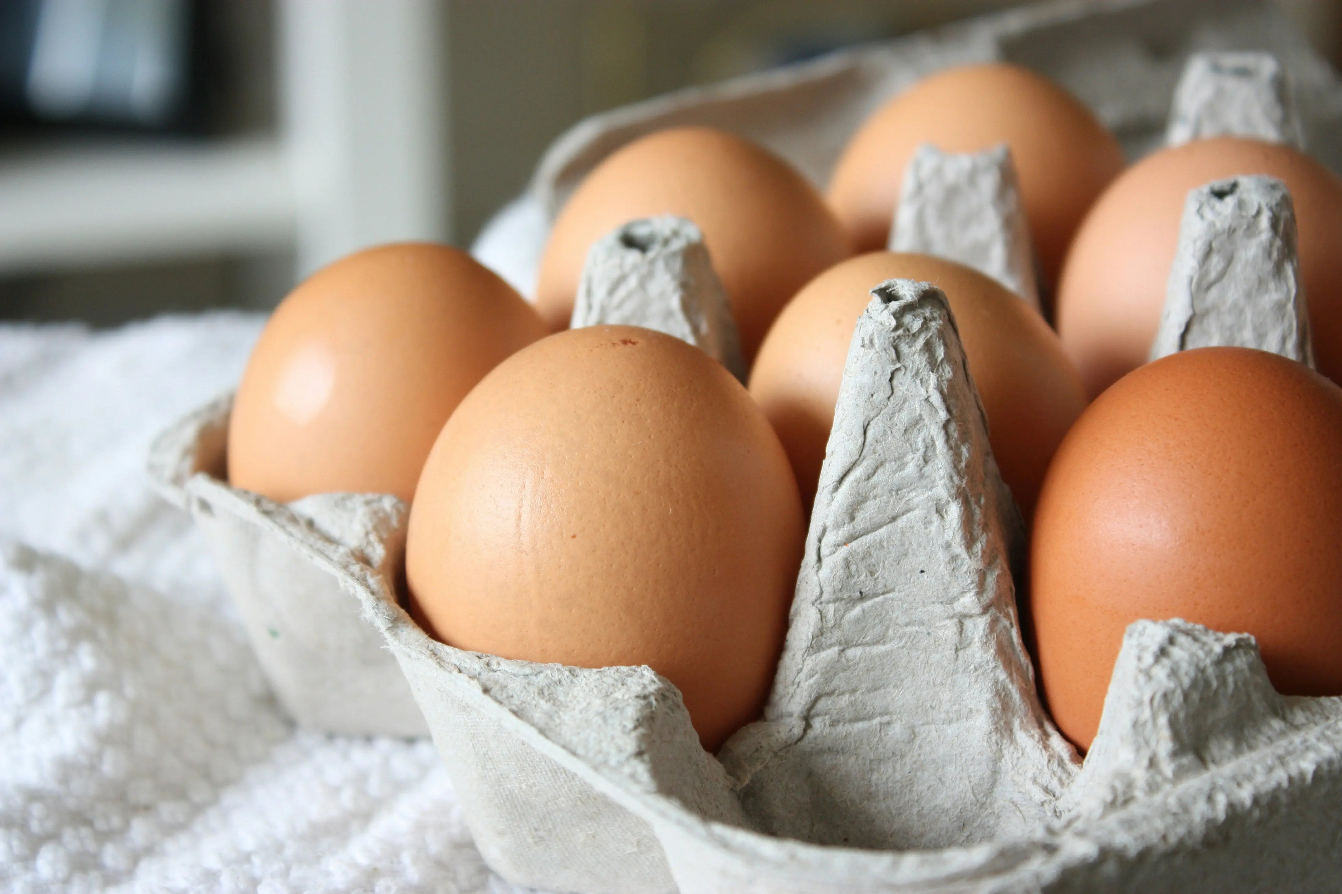 Eggstraordinary-Preservation-How-Long-Can-You-Keep-Eggs-In-The-Fridge | Fridge.com