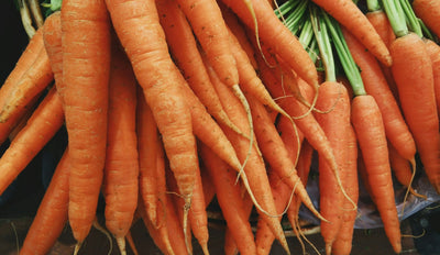 Extend-The-Shelf-Life-How-Long-Do-Carrots-Last-In-The-Fridge | Fridge.com