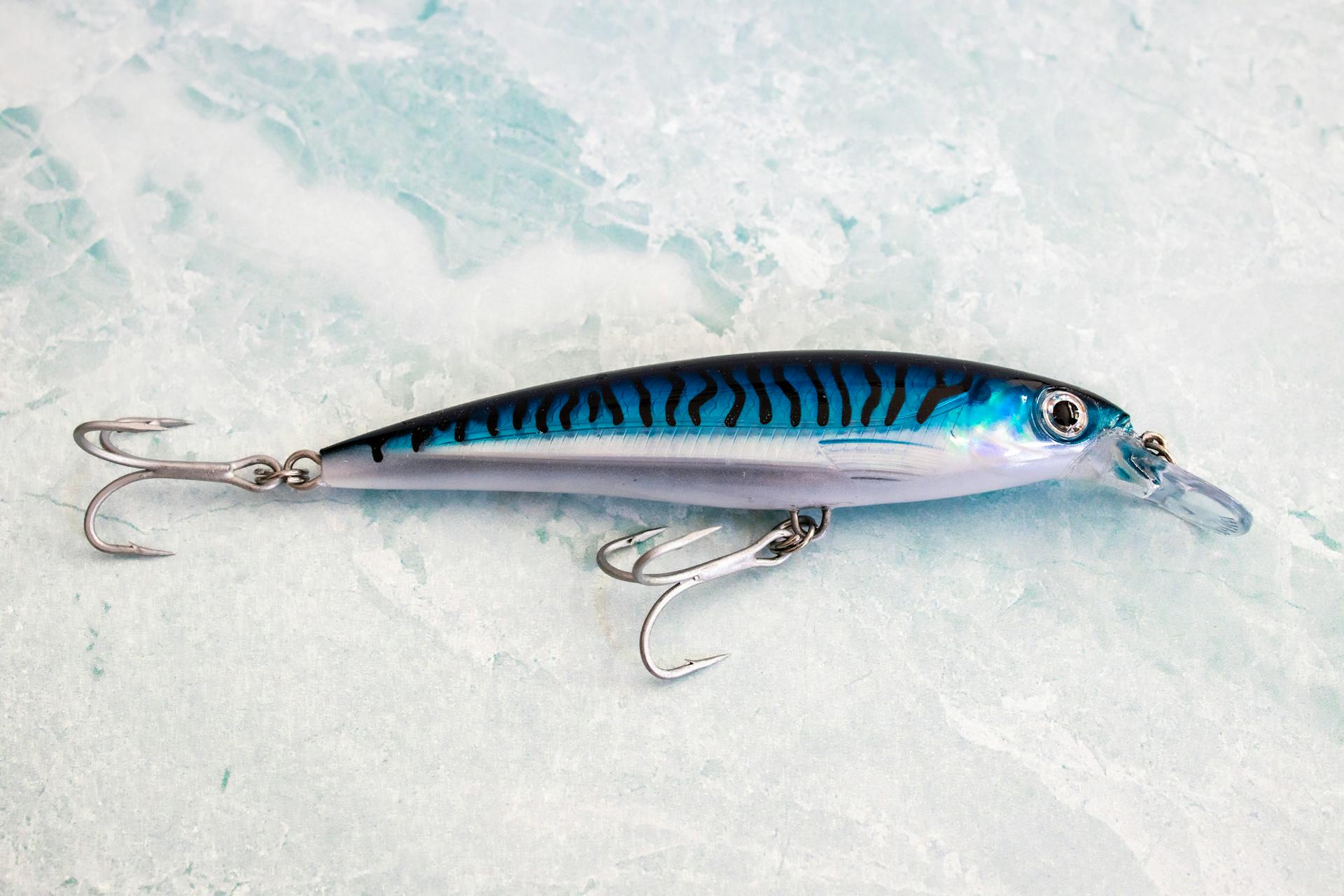 Freestanding Fishing Deep Freezer For Sale
