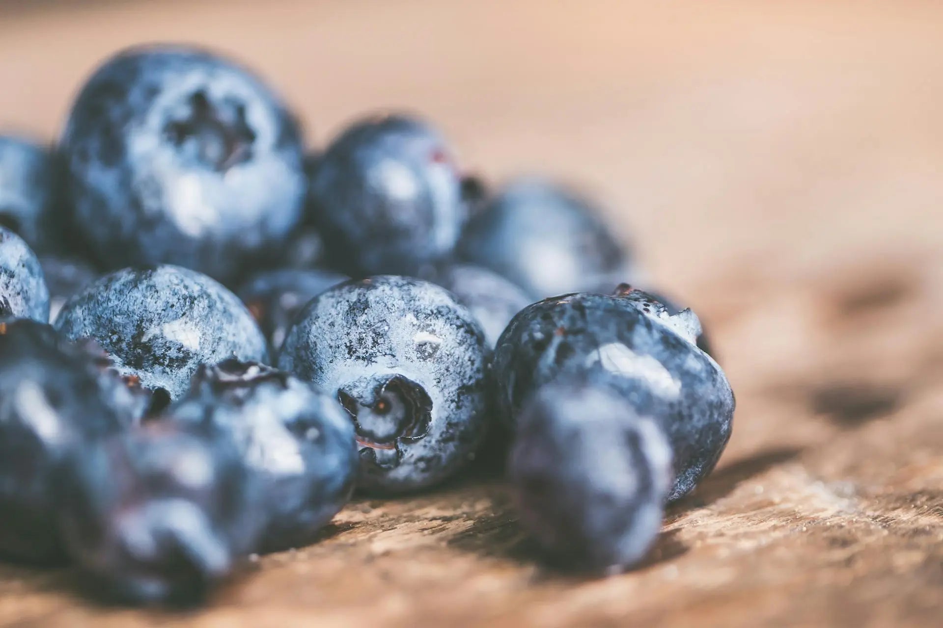 Freeze-Dried-Organic-Blueberries | Fridge.com