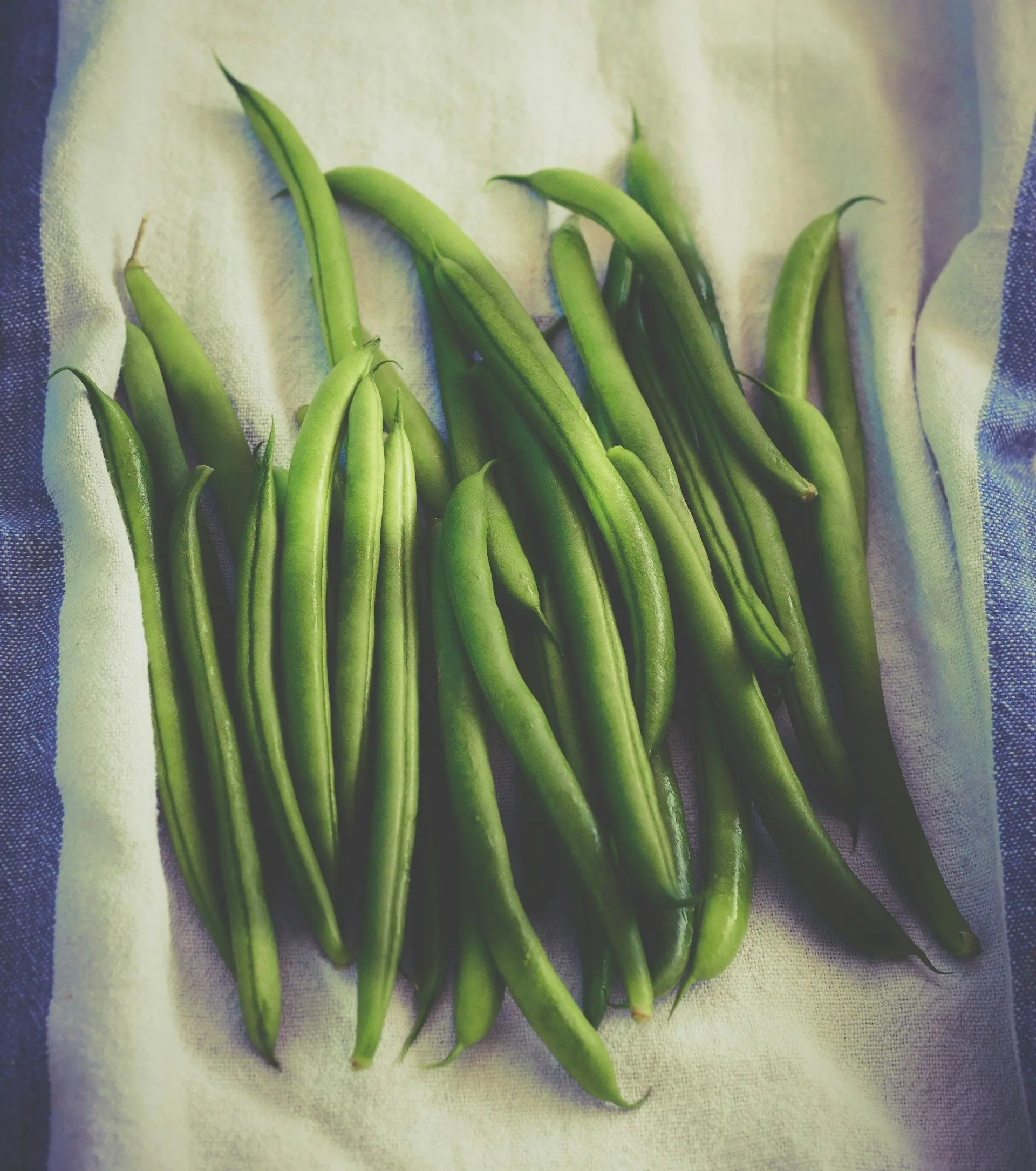 Freezing Garden Beans | Fridge.com