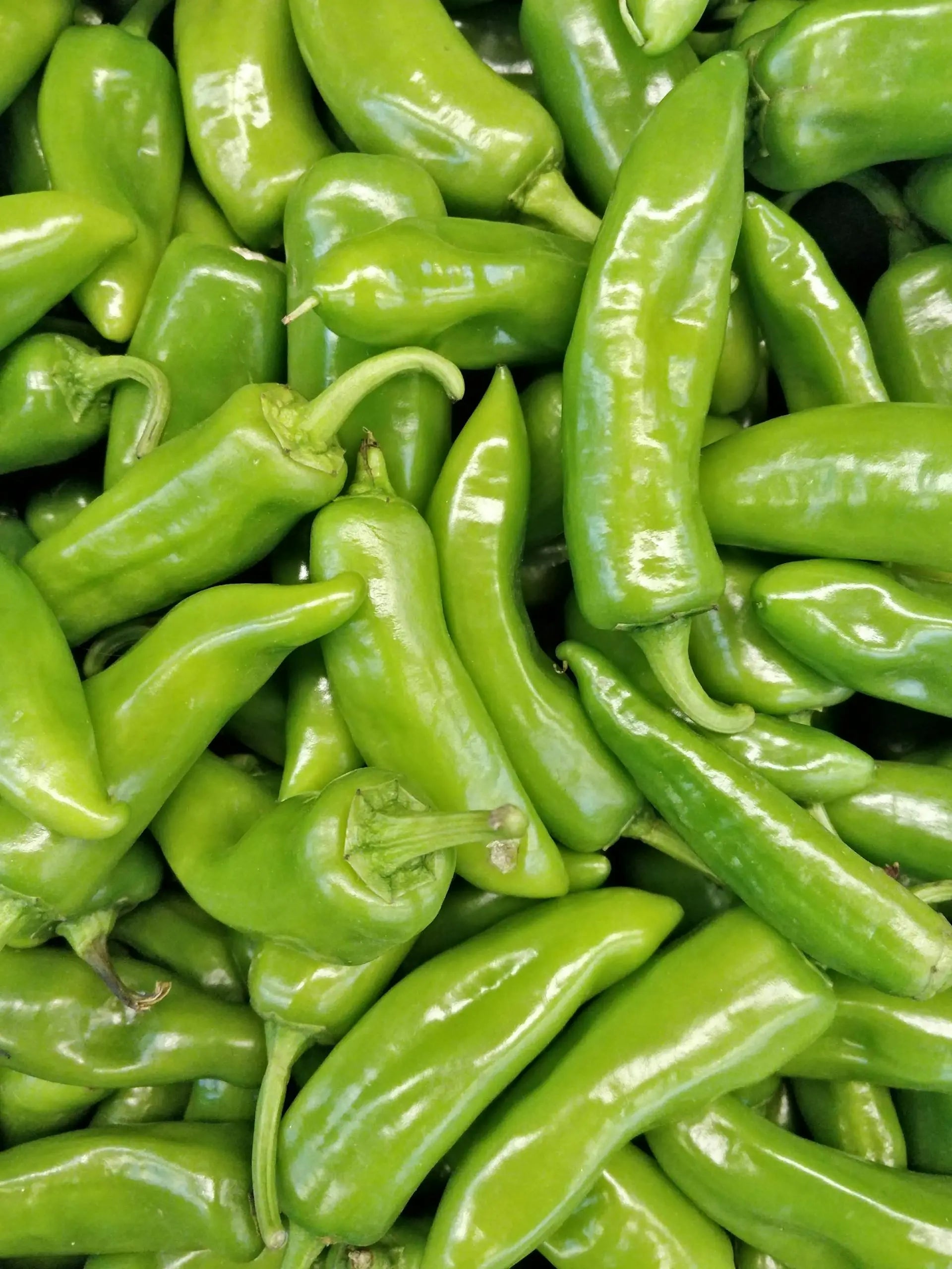 Freezing Green Chiles | Fridge.com