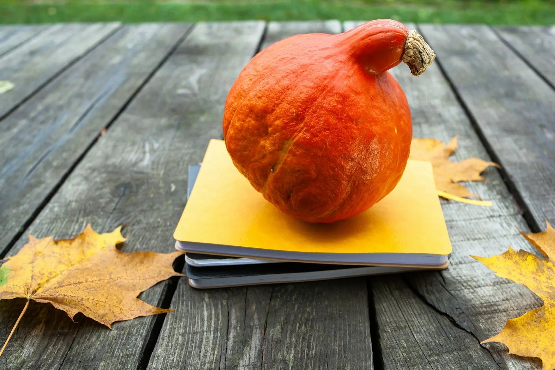 Freezing Whole Squash | Fridge.com