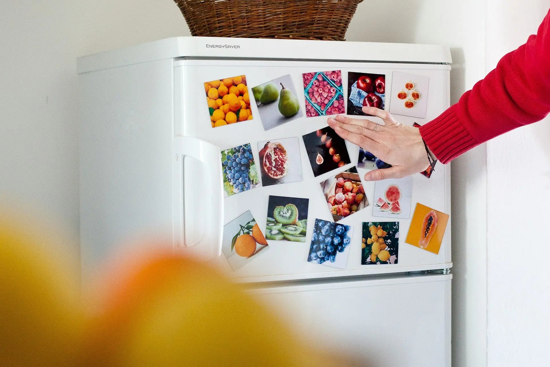 Fridge Design | Fridge.com