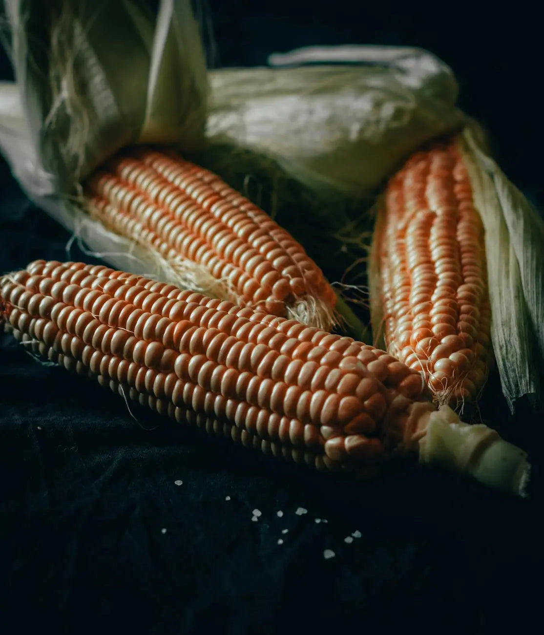 How-Do-You-Freeze-Corn-On-The-Cob | Fridge.com