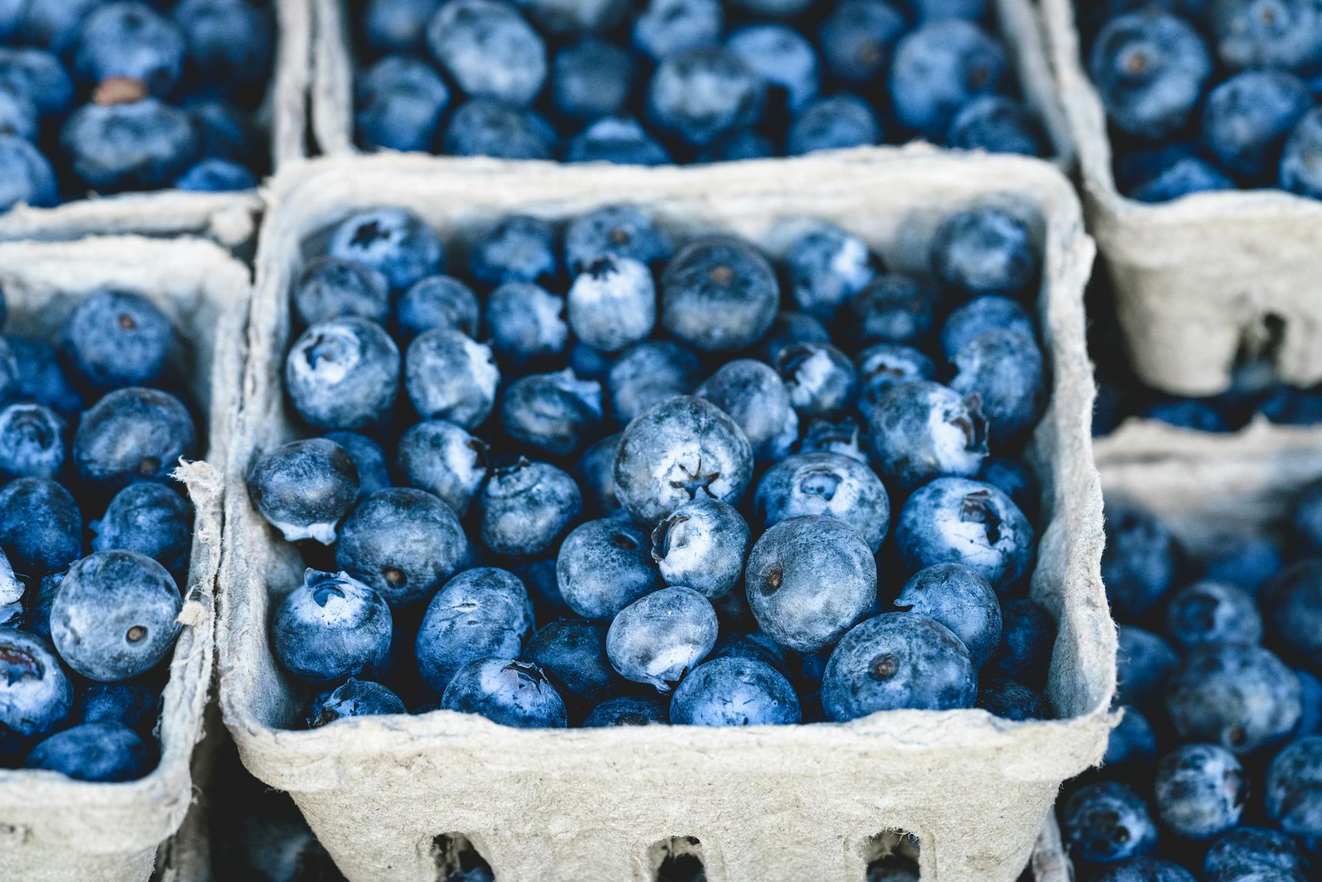 How Long Are Blueberries Good In The Refrigerator?