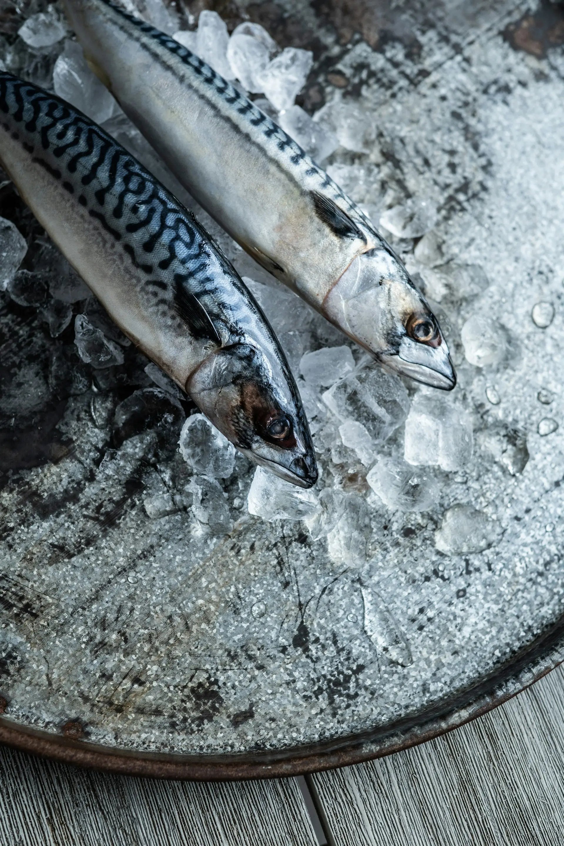 How-Long-Can-Frozen-Fish-Stay-In-The-Fridge | Fridge.com