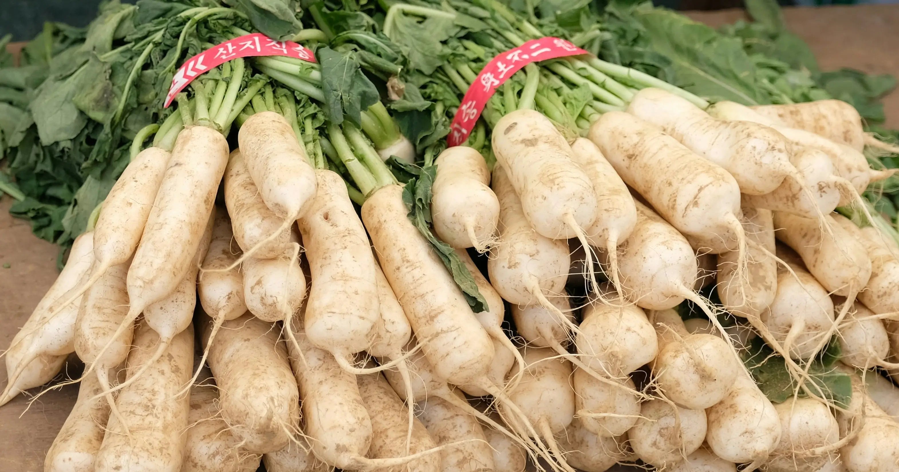 How-Long-Can-Horseradish-Last-In-The-Fridge | Fridge.com