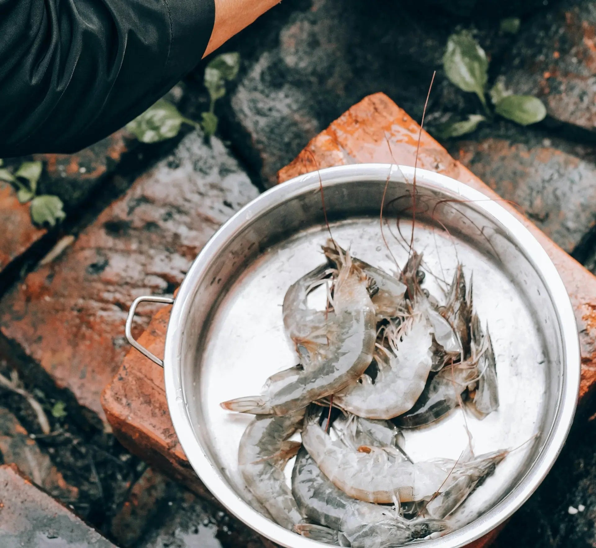 How Long Can I Keep Defrosted Shrimp In The Fridge? | Fridge.com