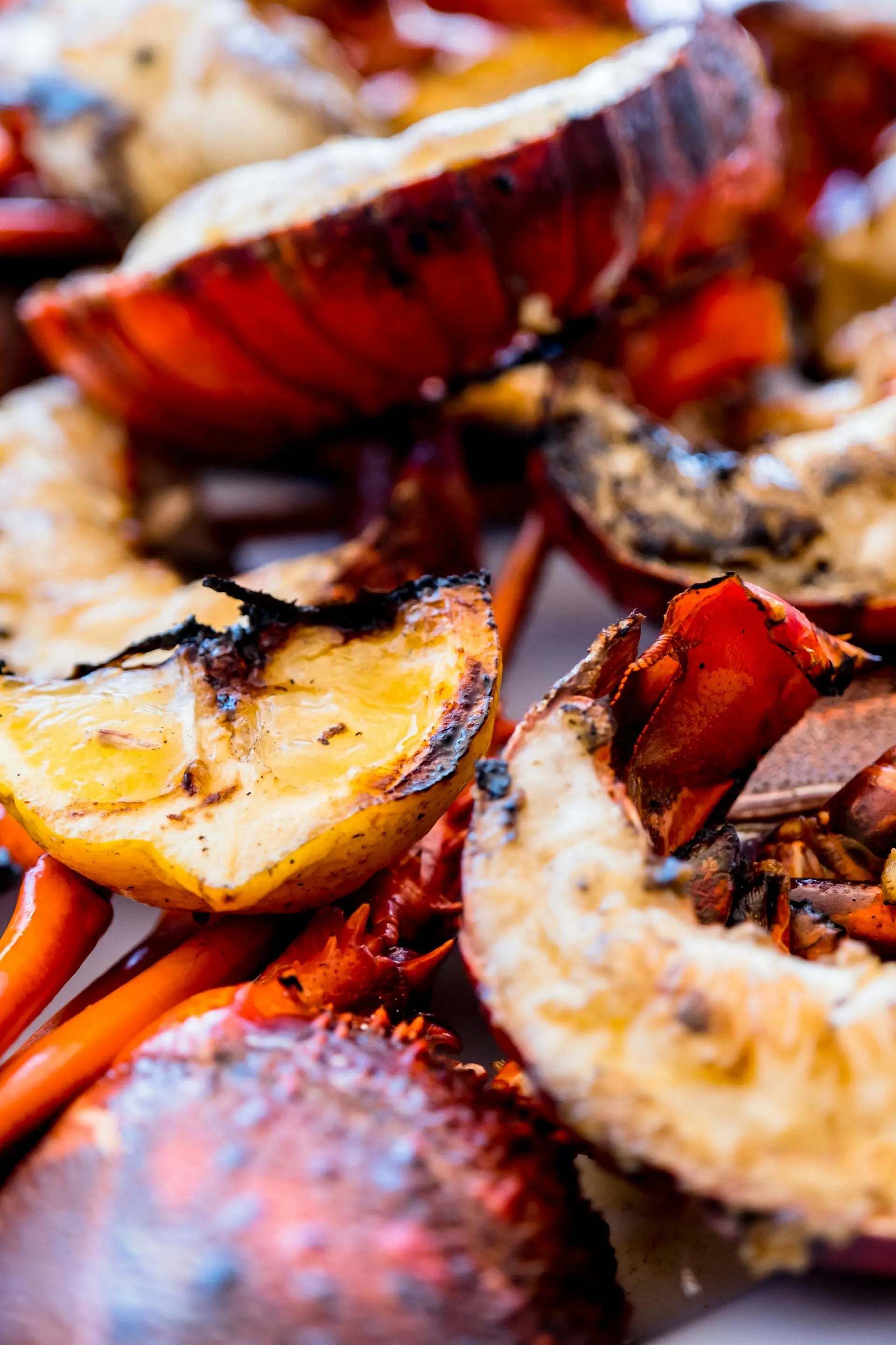 How-Long-Can-Kona-Crab-Last-In-The-Fridge | Fridge.com