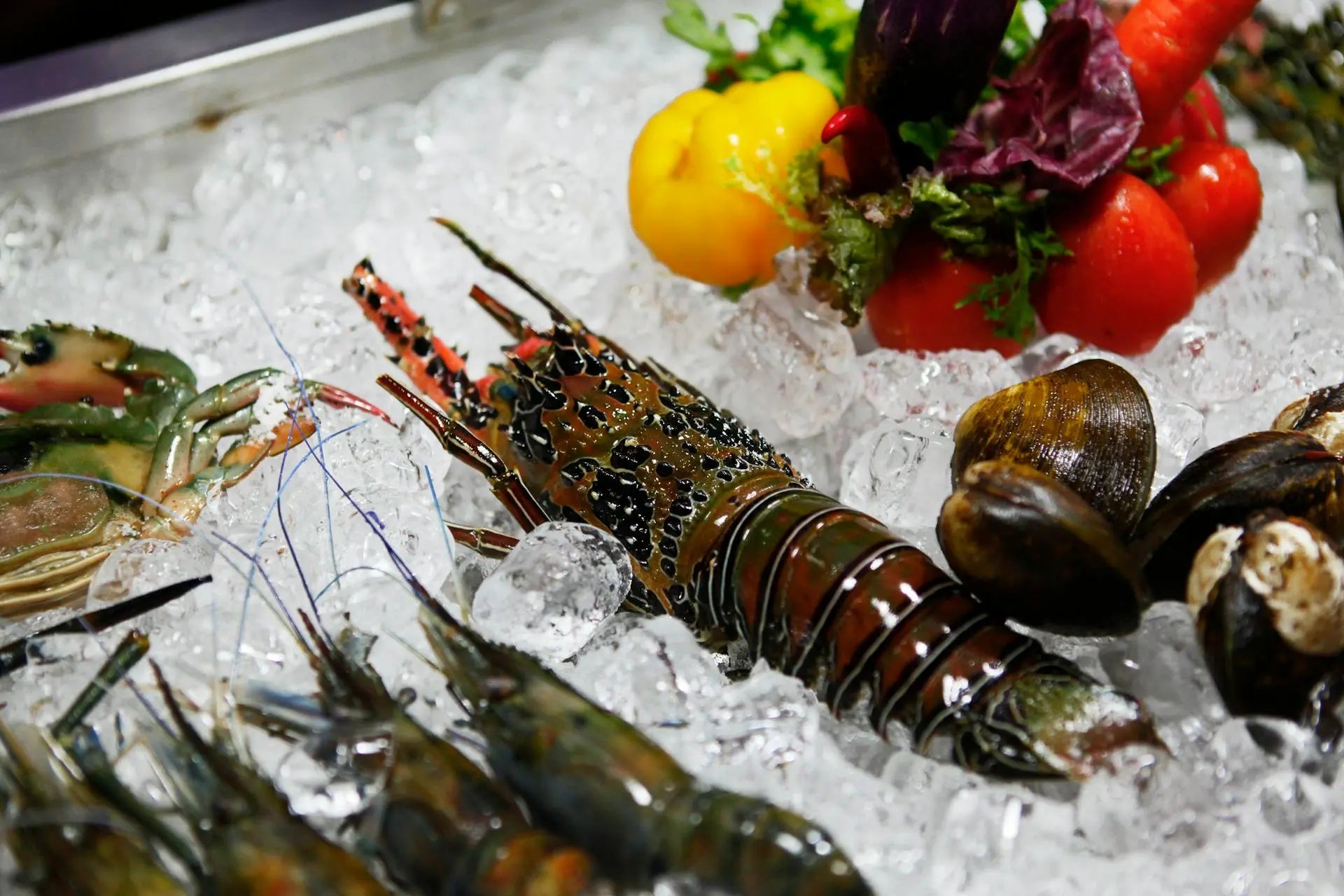 How-Long-Can-Spiny-Lobster-Last-In-The-Fridge | Fridge.com