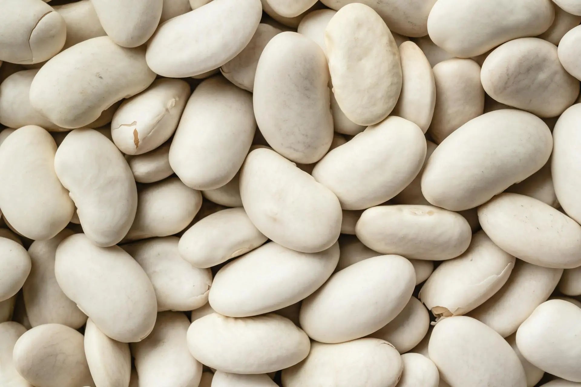 How-Long-Can-White-Beans-Last-In-The-Fridge | Fridge.com