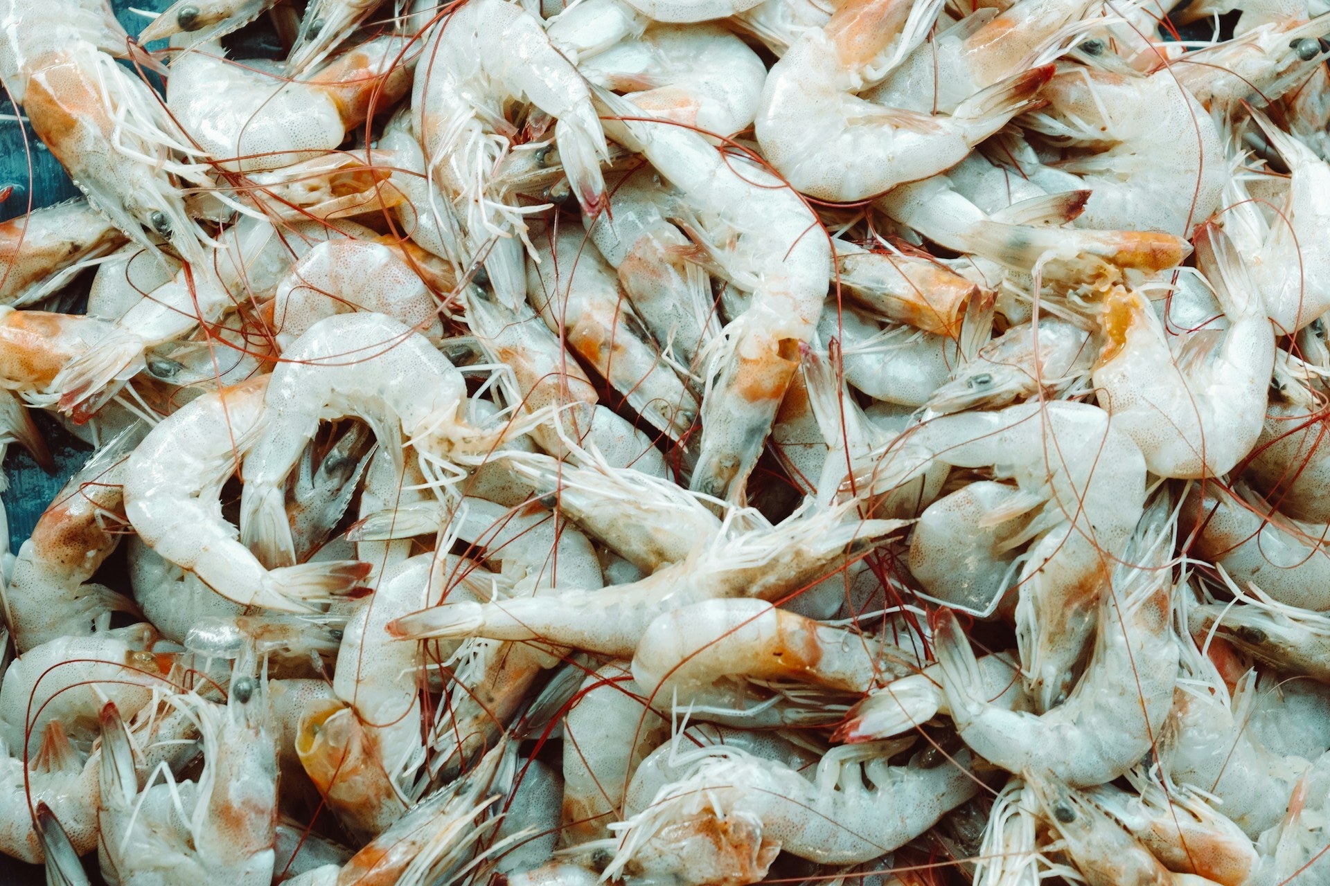 How Long Can You Defrost Shrimp In The Fridge?