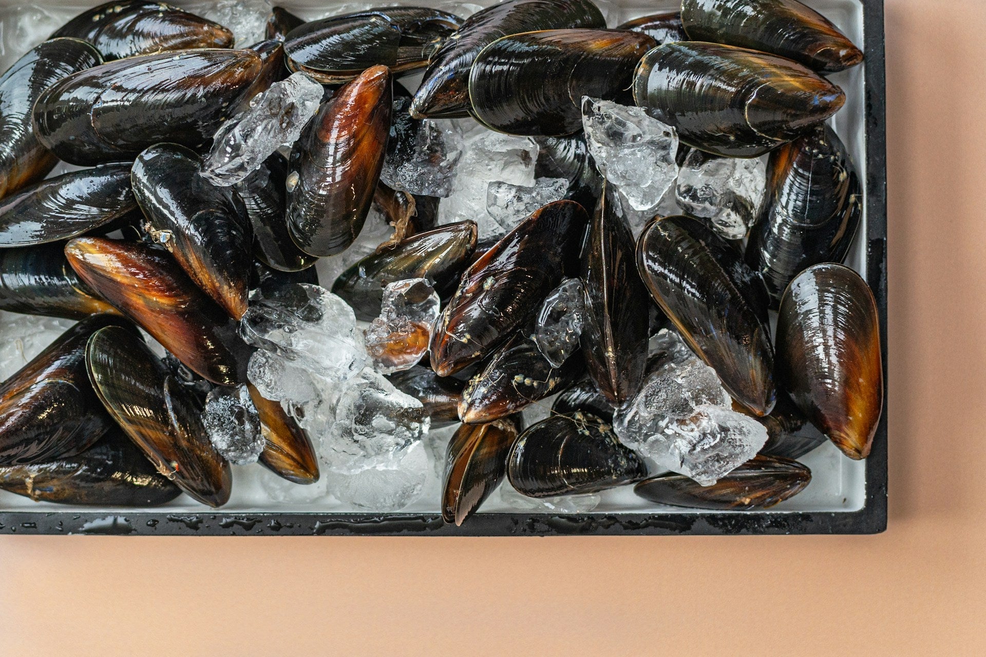 How Long Can You Keep Fresh Mussels In The Fridge?
