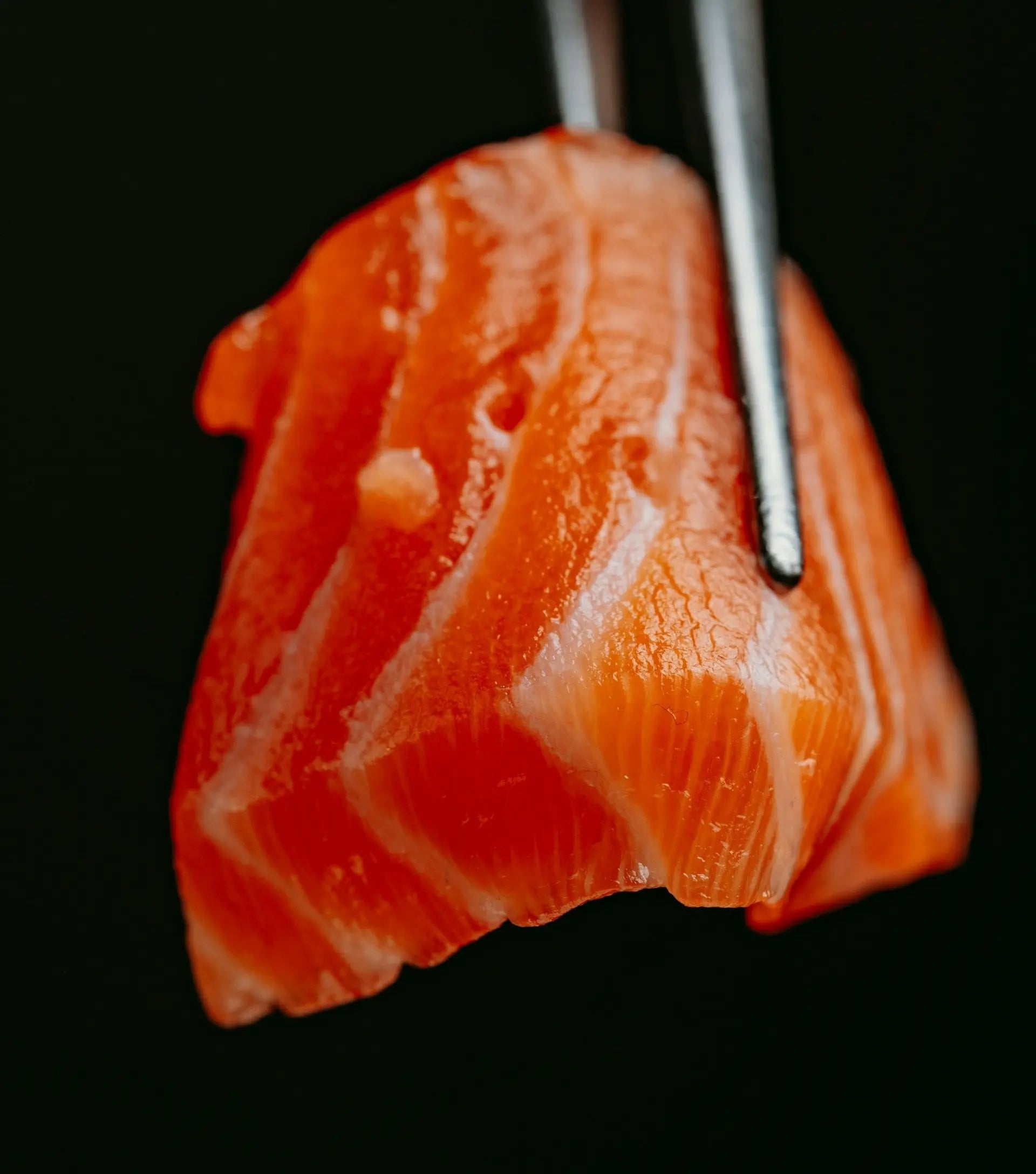 How-Long-Can-You-Keep-Frozen-Salmon-In-The-Freezer | Fridge.com