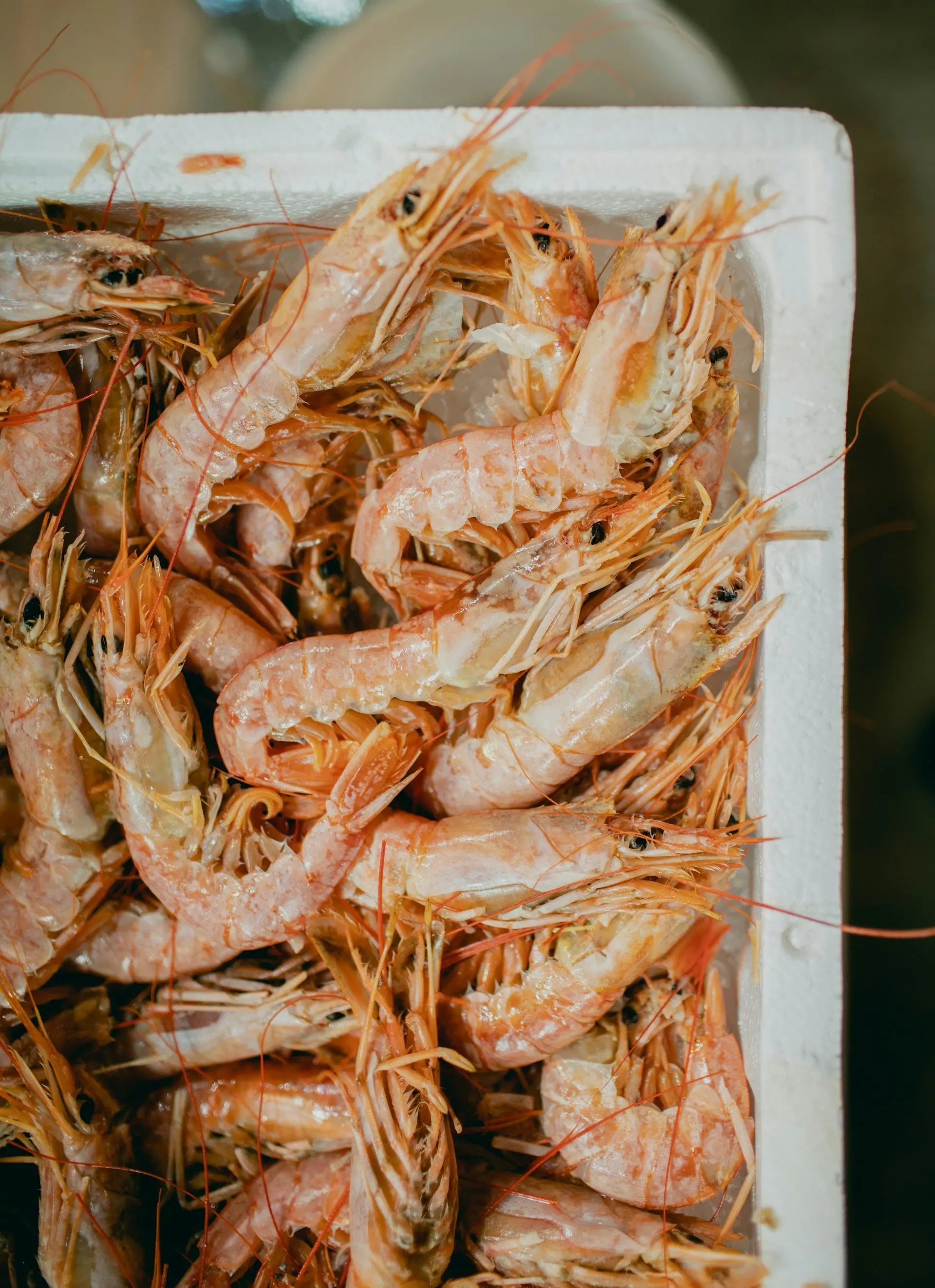 How-Long-Can-You-Leave-Uncooked-Shrimp-In-The-Fridge | Fridge.com