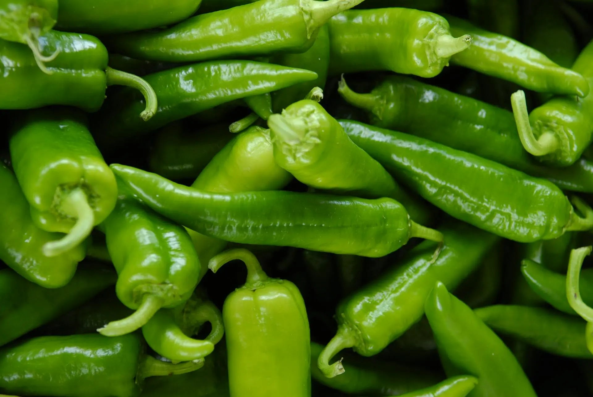 How-Long-Do-Canned-Diced-Green-Chiles-Last-In-The-Fridge | Fridge.com