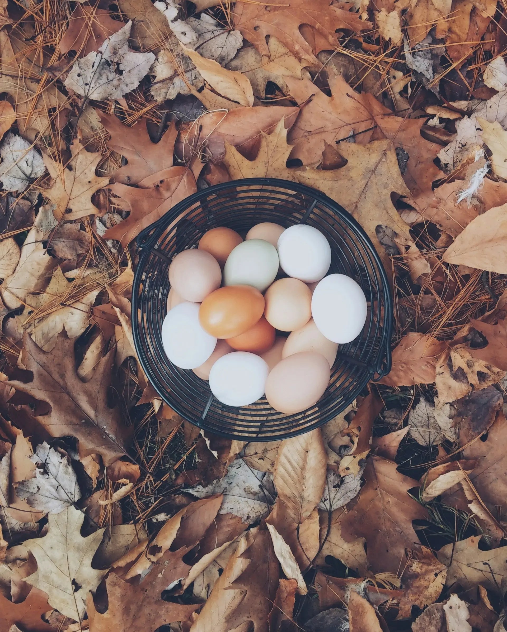 How-Long-Do-Farm-Eggs-Last-In-The-Fridge | Fridge.com