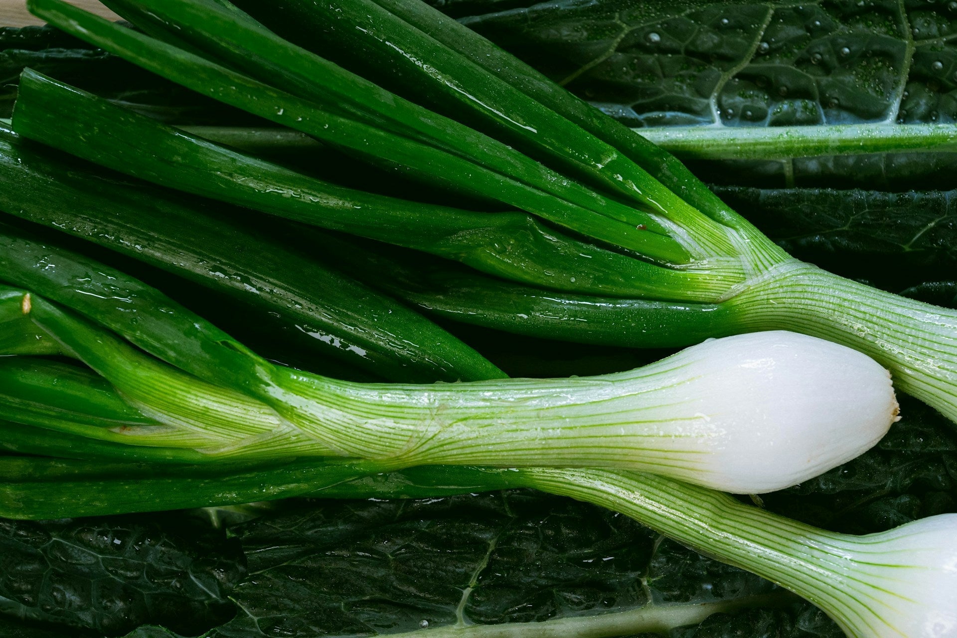 How Long Do Green Onions Last In The Fridge?
