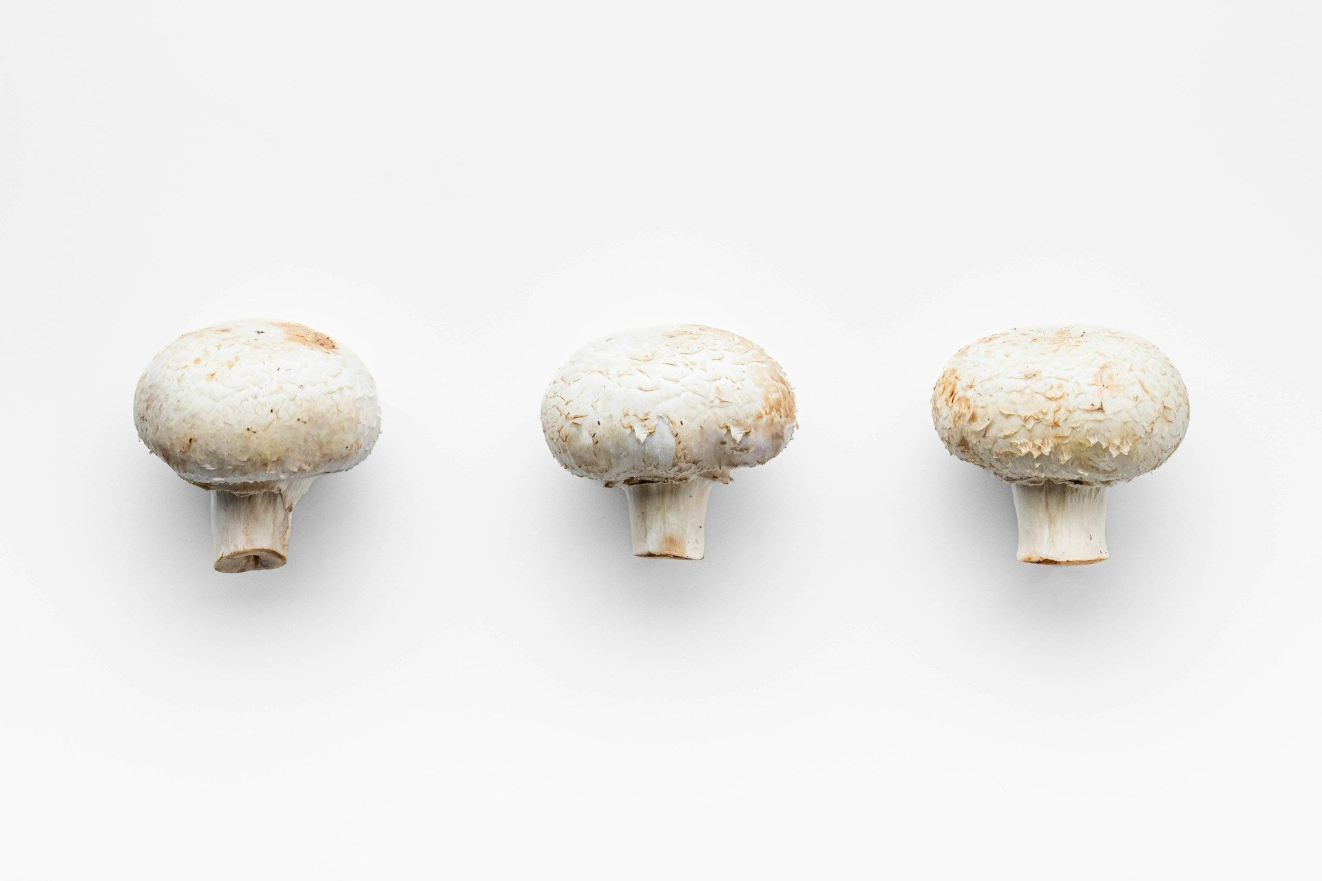 How Long Do White Mushrooms Last In The Fridge?