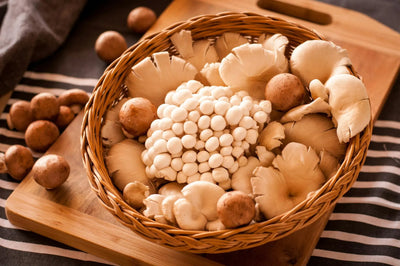 How-Long-Do-White-Mushrooms-Last-In-The-Fridge | Fridge.com