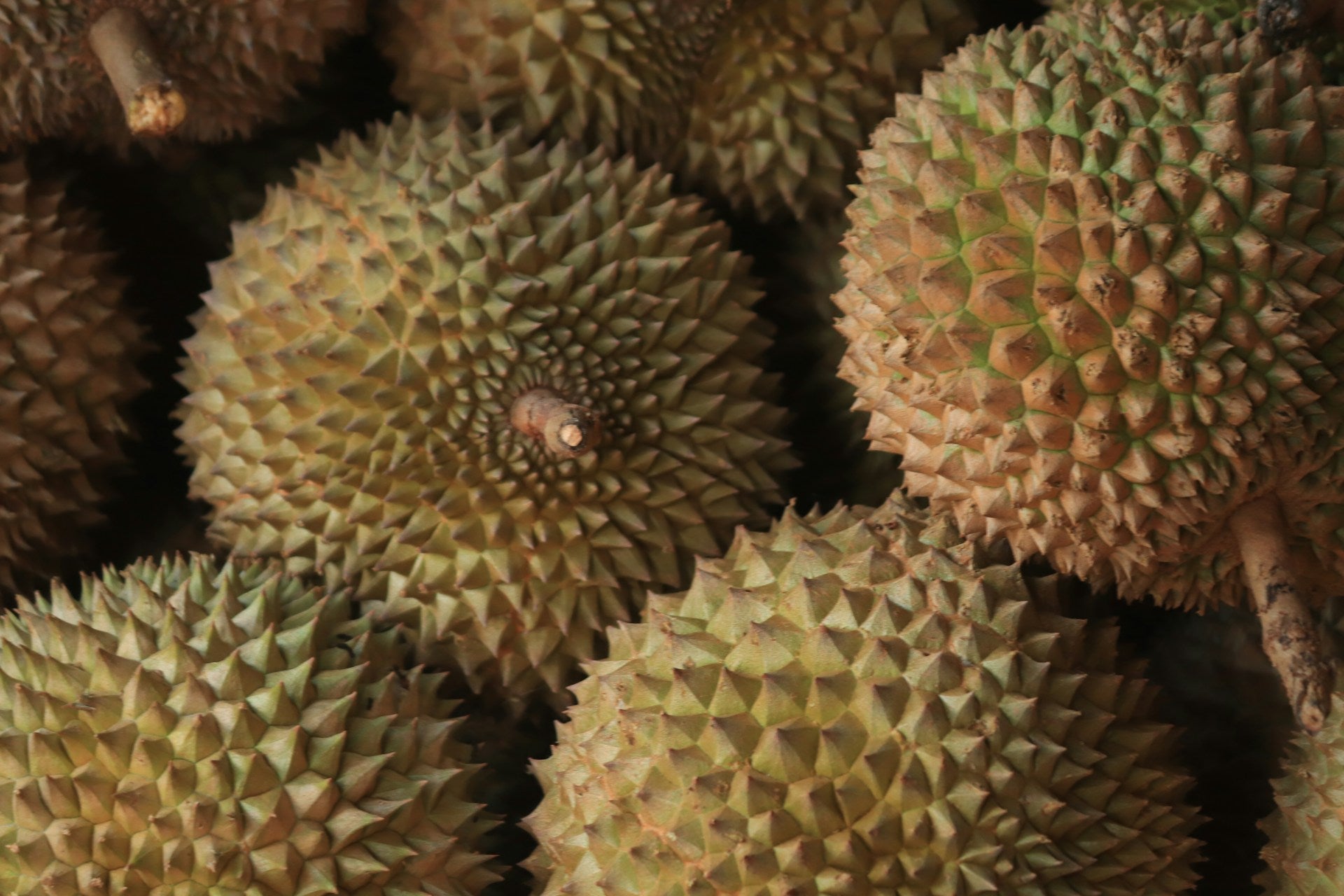 How Long Does Durian Last In The Fridge?