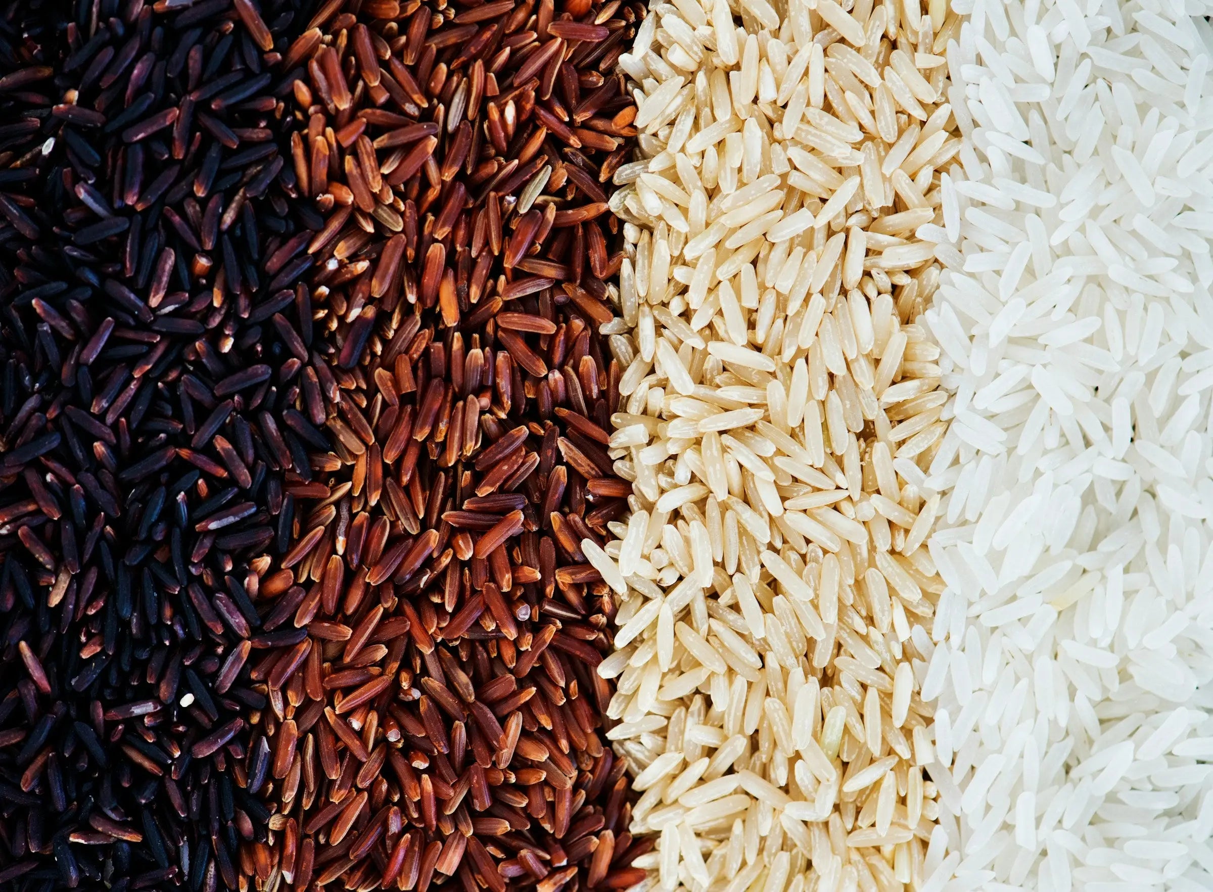 How-Long-Does-Rice-Keep-In-The-Fridge | Fridge.com