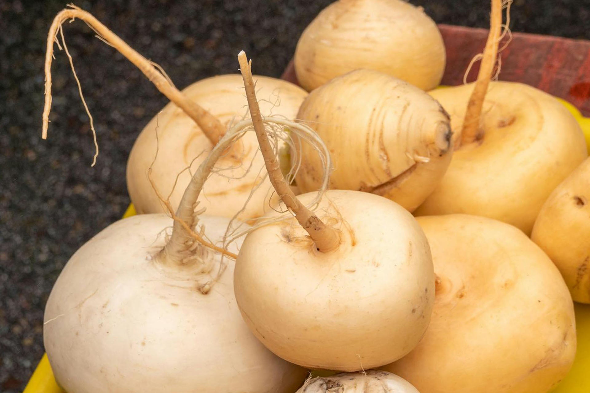 How Long Does Turnip Last In The Fridge?