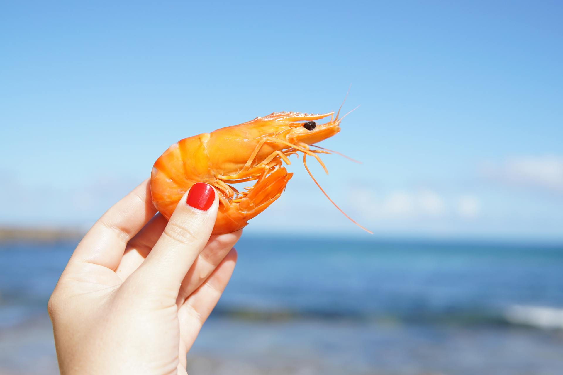 How Long Is Shrimp Good For In The Fridge?