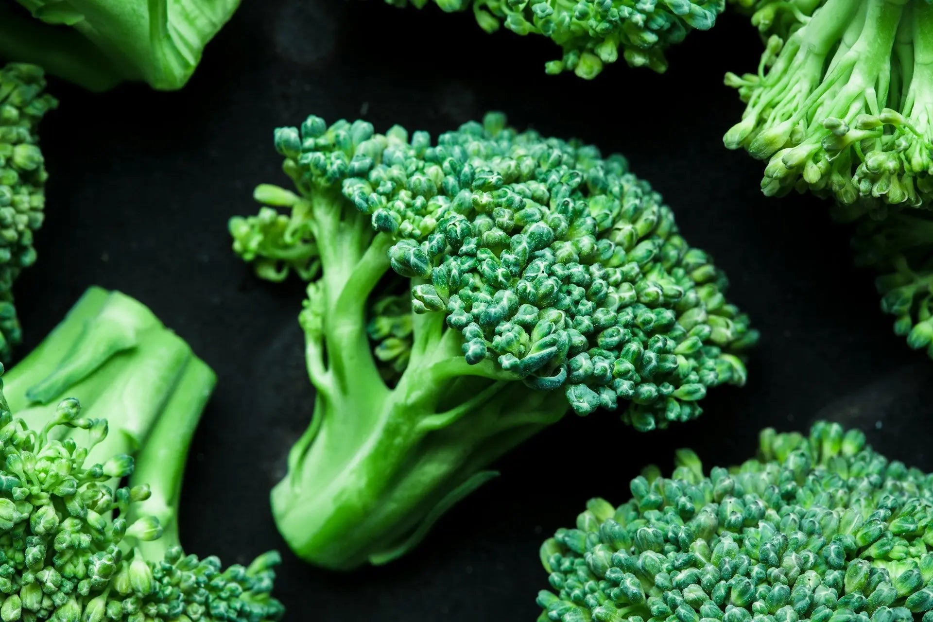 How-Long-To-Blanch-Broccoli-For-Freezing | Fridge.com