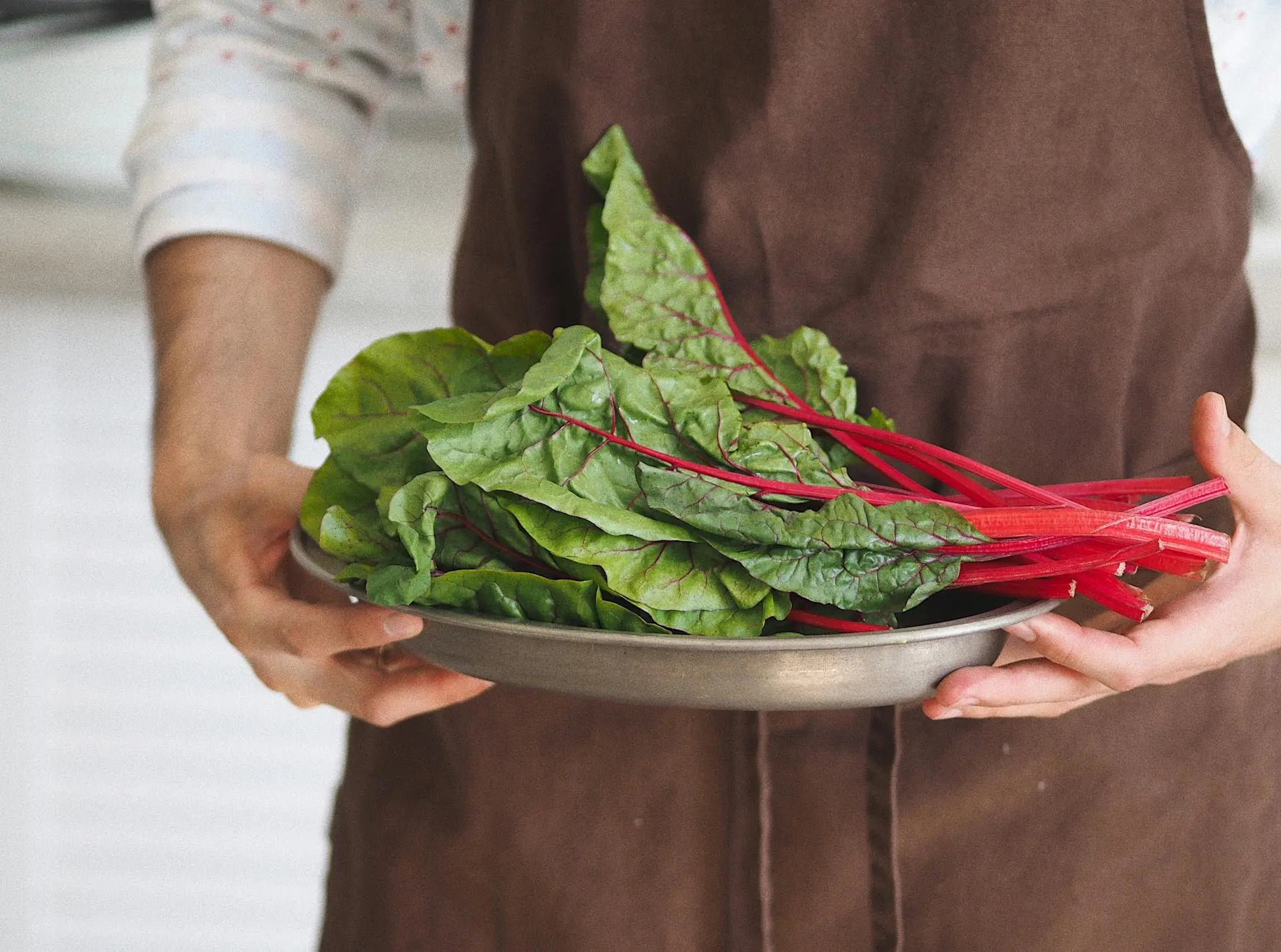 How-To-Freeze-Swiss-Chard-Without-Blanching | Fridge.com