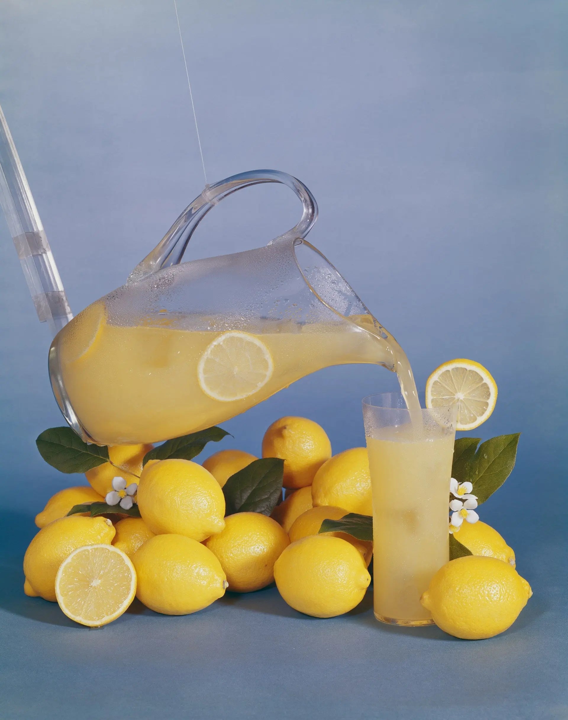 How-To-Make-The-Perfect-Fridge-Stored-Lemonade | Fridge.com