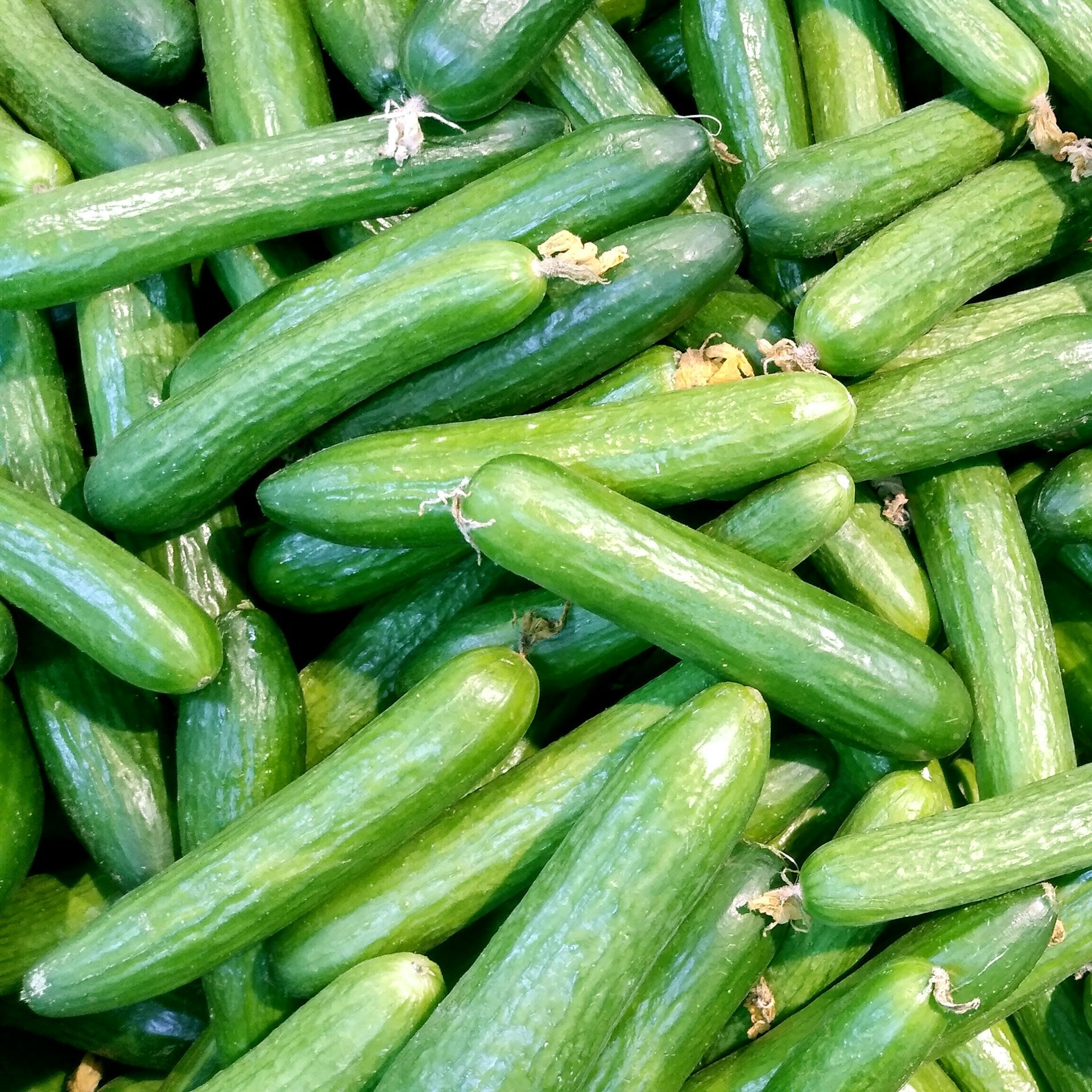 How To Store Zucchini In The Fridge?