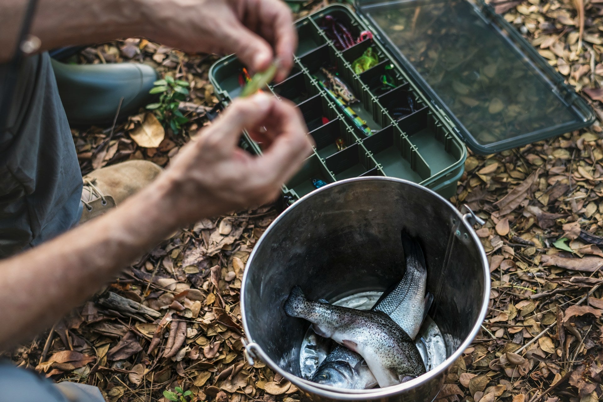 How Long Can Fresh Caught Fish Stay In The Fridge?