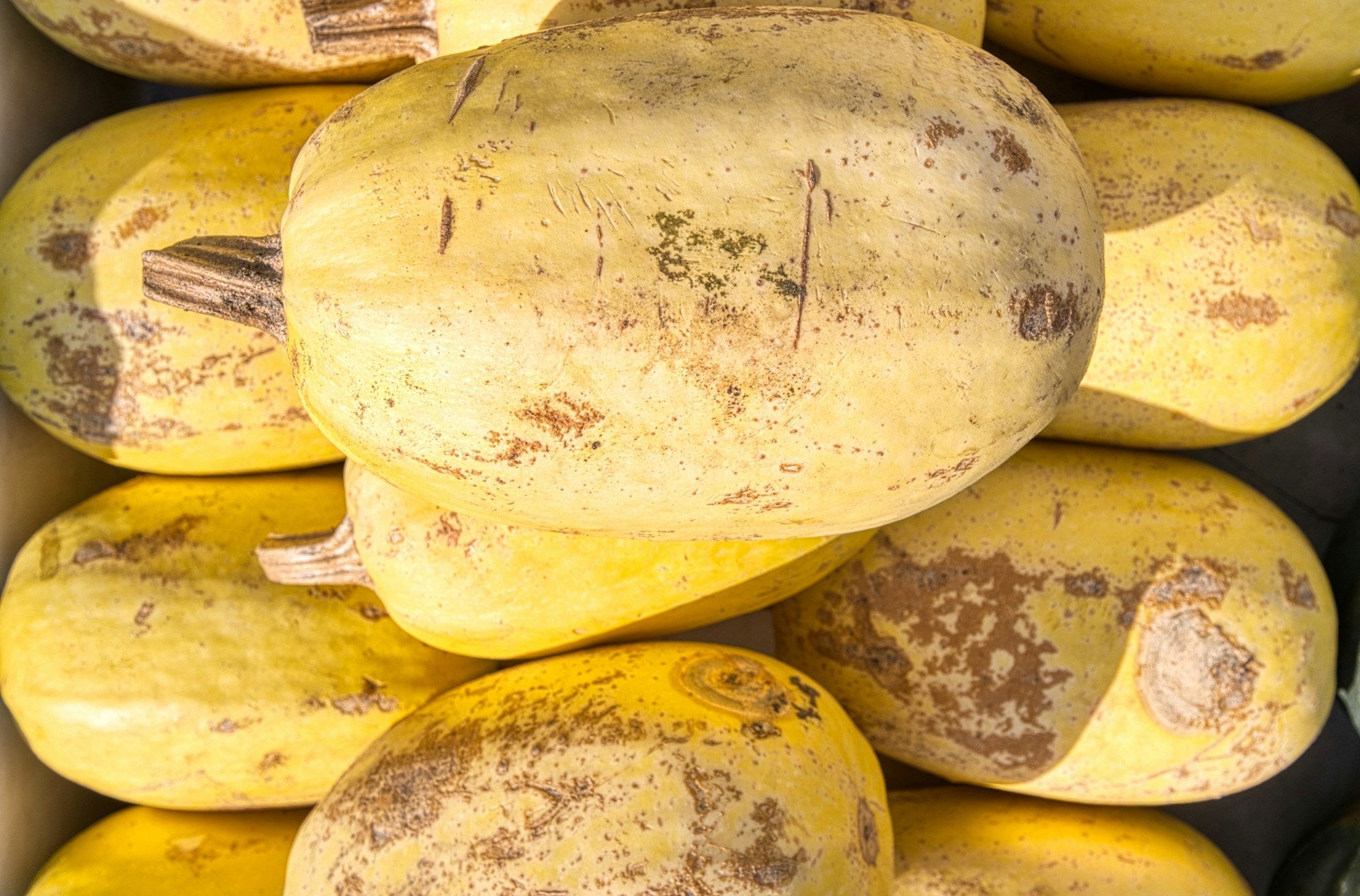 How Long Does Spaghetti Squash Last In The Fridge?