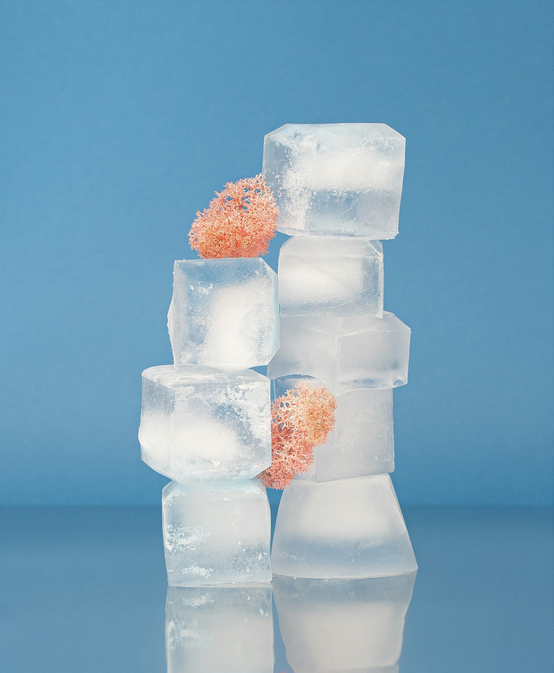 Ice Maker Vs. Mini Fridge