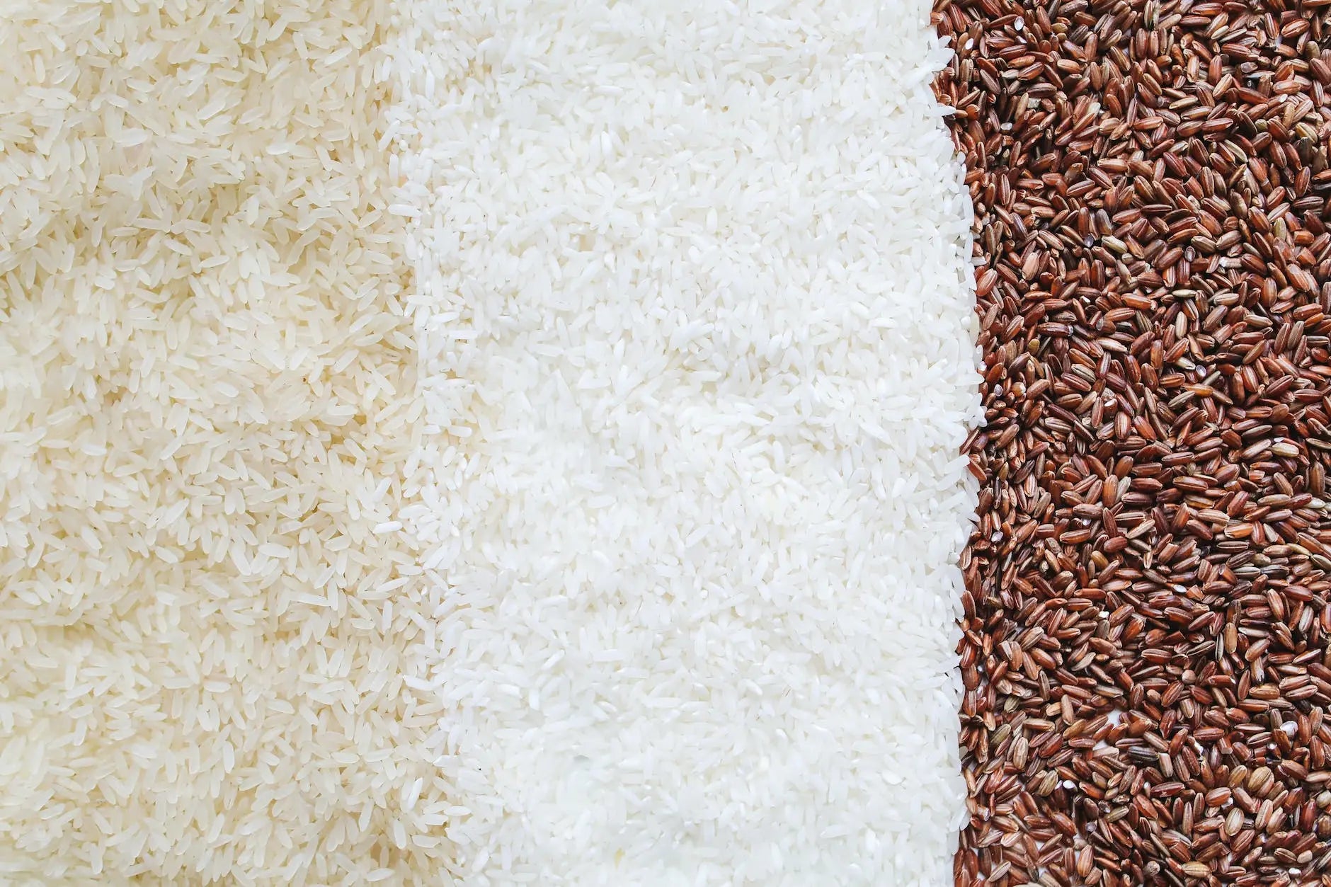 Keep-it-Fresh-The-Ultimate-Guide-to-Storing-Cooked-Rice-in-the-Fridge | Fridge.com