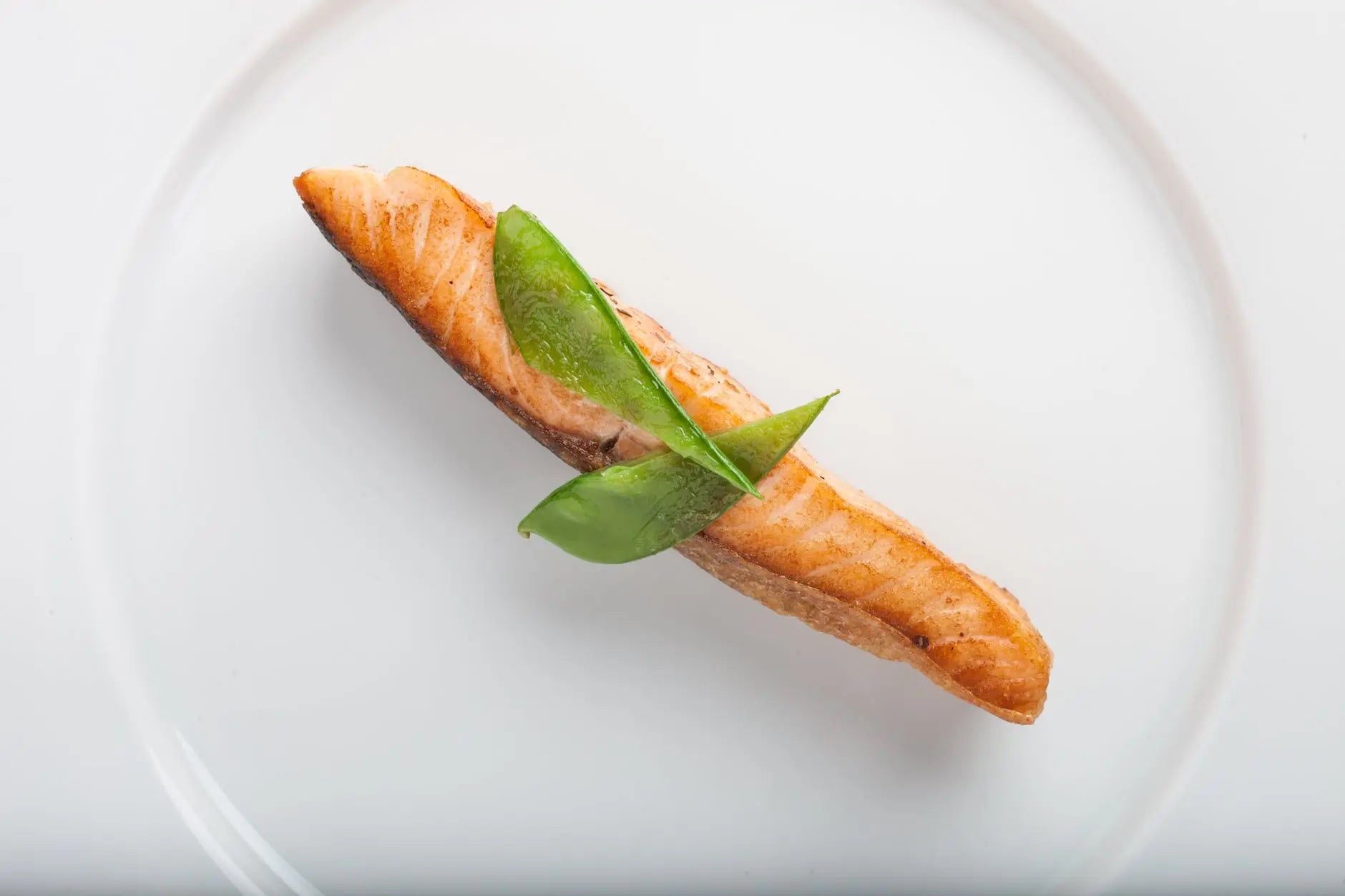 Keeping-it-Fresh-The-Ultimate-Guide-to-Storing-Salmon-in-the-Fridge | Fridge.com