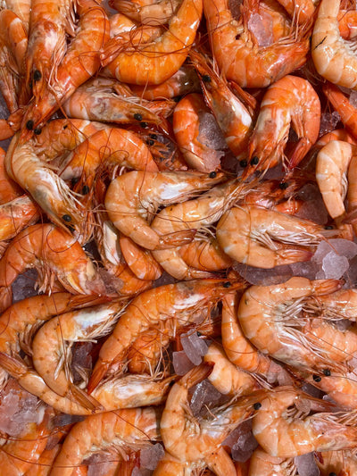 Maintaining-Quality-The-Fridge-Life-Of-Shrimp-Unveiled | Fridge.com