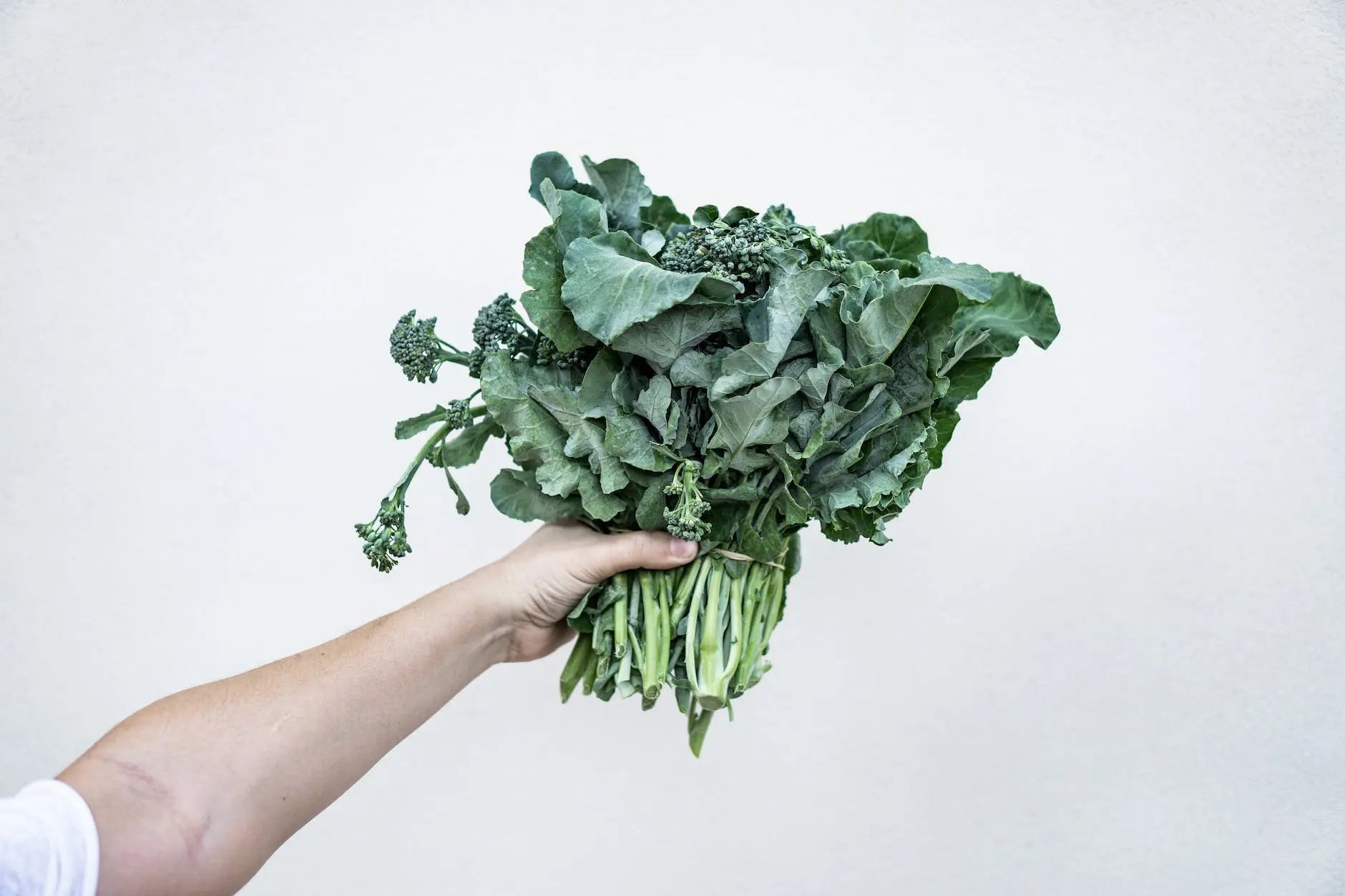 Mastering-Kale-Preservation-How-Long-Does-Kale-Really-Last-in-the-Fridge | Fridge.com