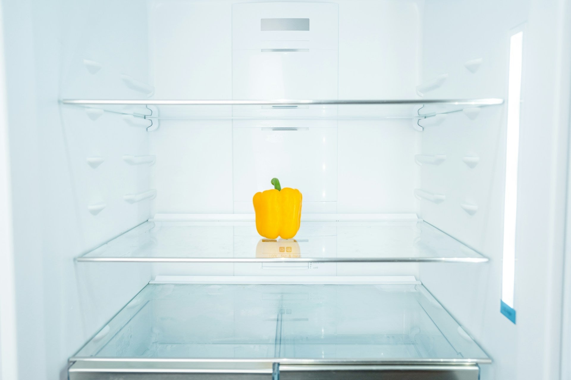 Prepping A Bottom Freezer Fridge For Vacation