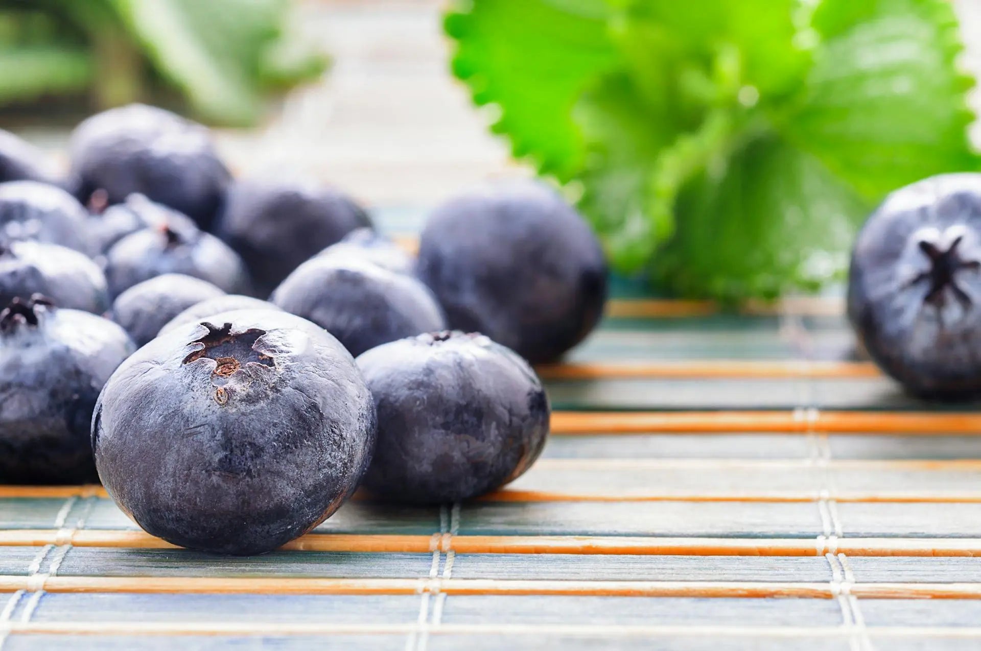 Refrigerate Blueberries Or Not | Fridge.com