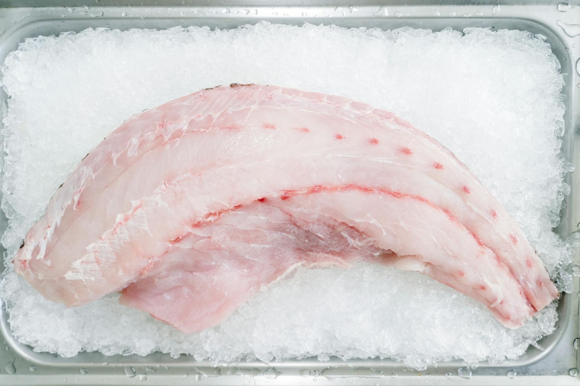 Refrigerator Freezing Food
