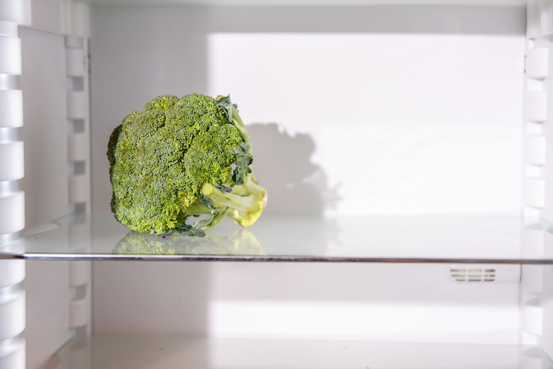 Refrigerator Storage Mold Removal Tips