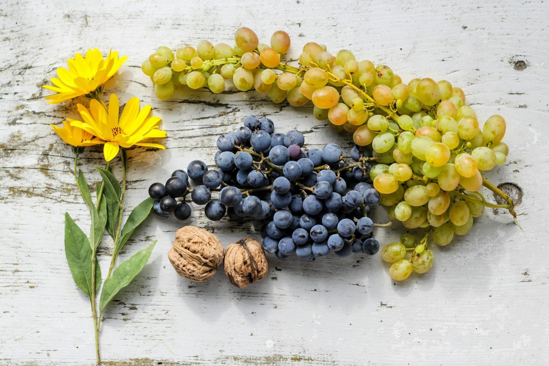 Should Grapes Be Kept In The Refrigerator?