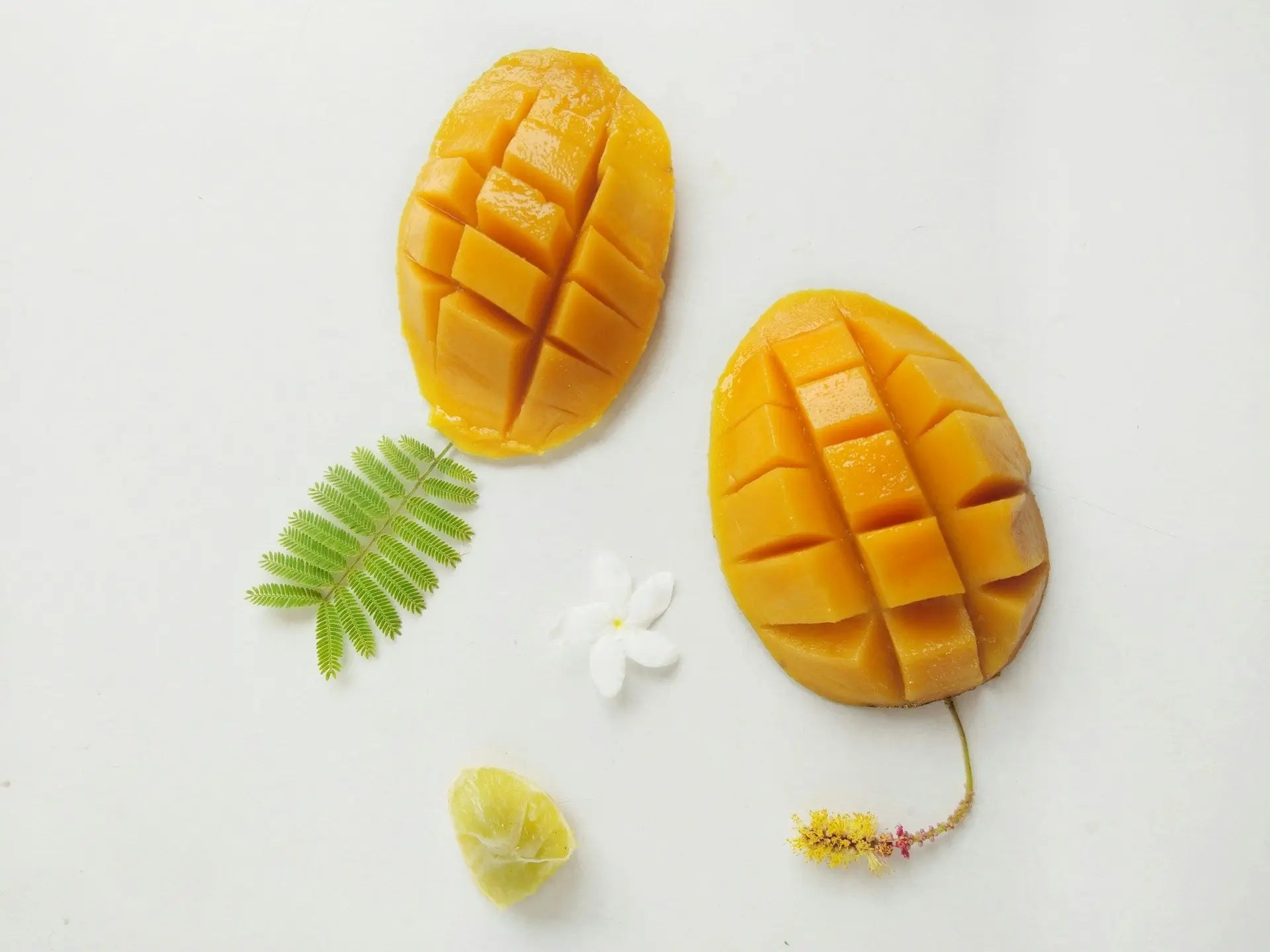 Should-I-Keep-Mangoes-In-The-Fridge | Fridge.com