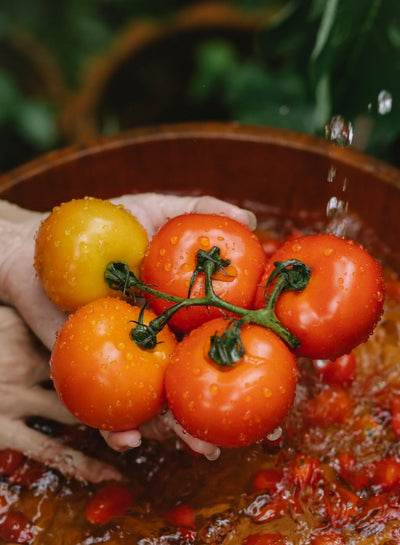 Stop-Wasting-Tomatoes-Optimal-Fridge-Storage-Times-Revealed | Fridge.com